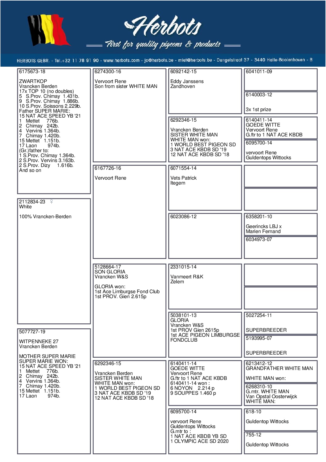ヴランケン・ベルデン 23-2112834 売切れ - 画像 (4)