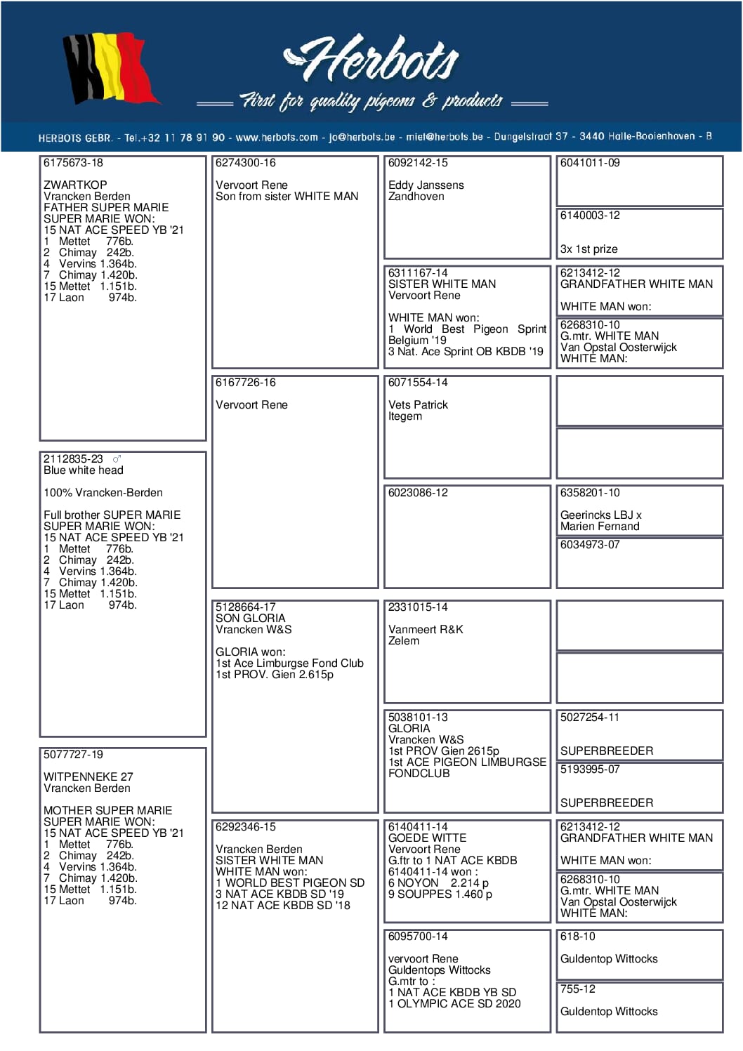 ヴランケン・ベルデン 23-2112835 - 画像 (2)