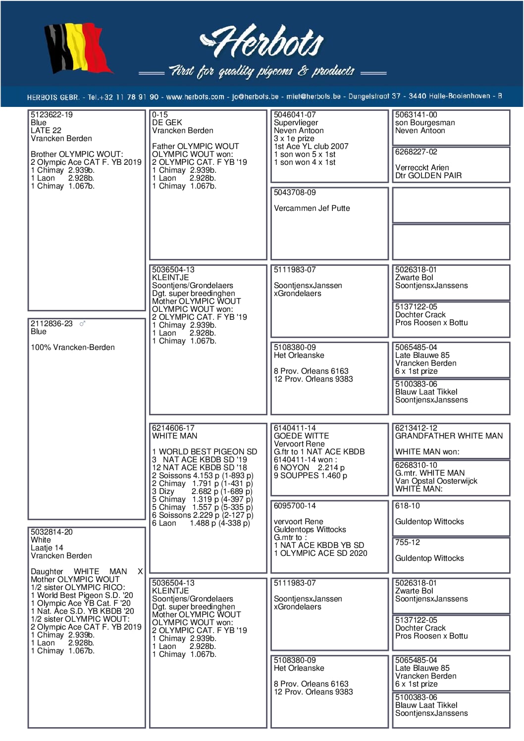 ヴランケン・ベルデン 23-2112836 - 画像 (2)