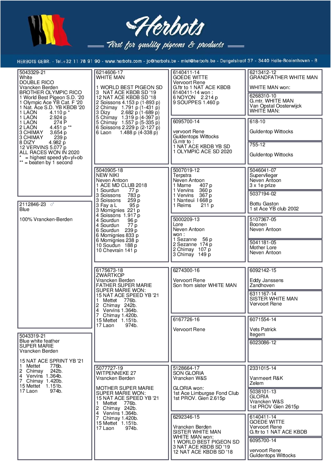 ヴランケン・ベルデン 23-2112846 売切れ - 画像 (2)