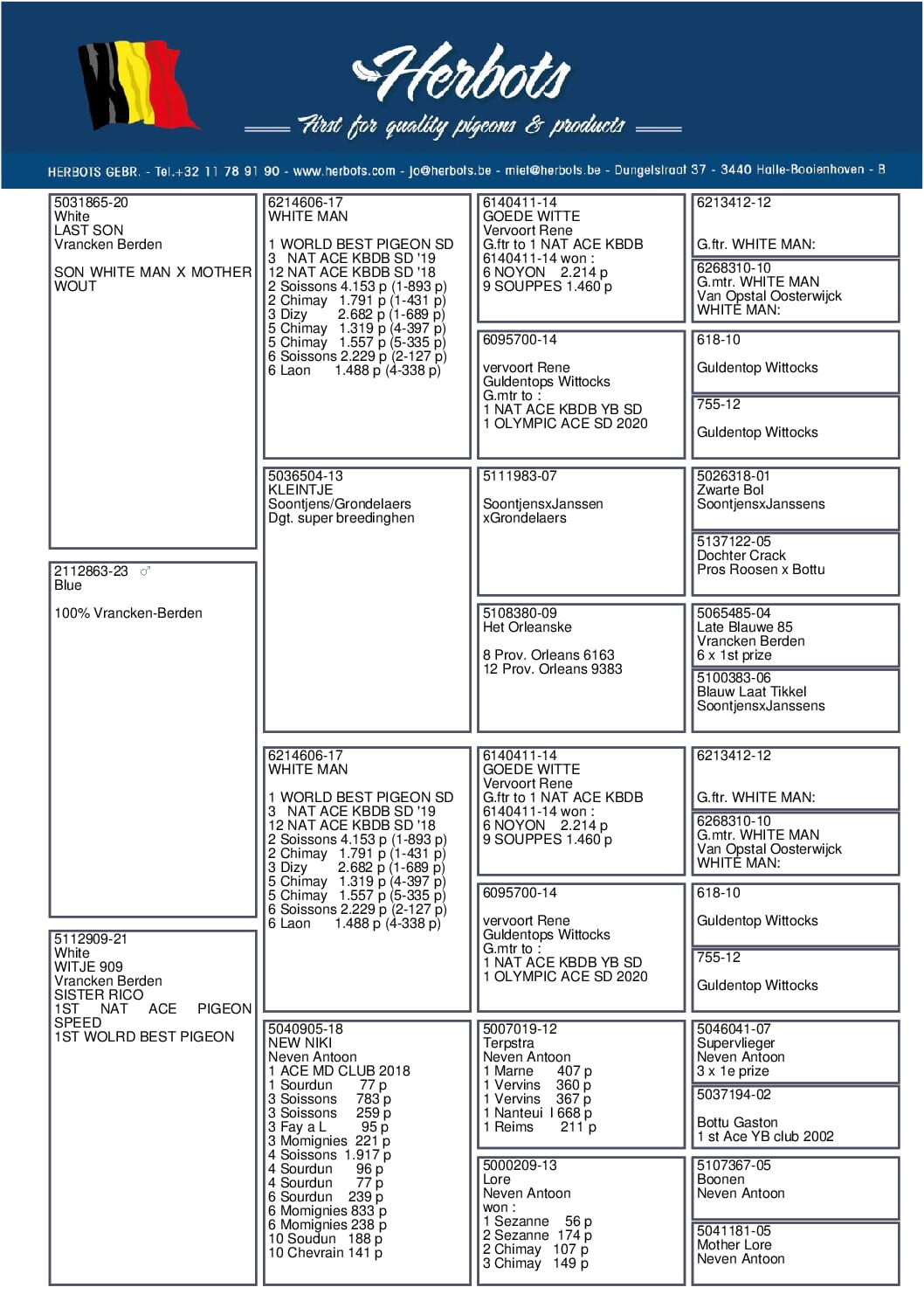 ヴランケン・ベルデン 23-2112863 売切れ - 画像 (2)