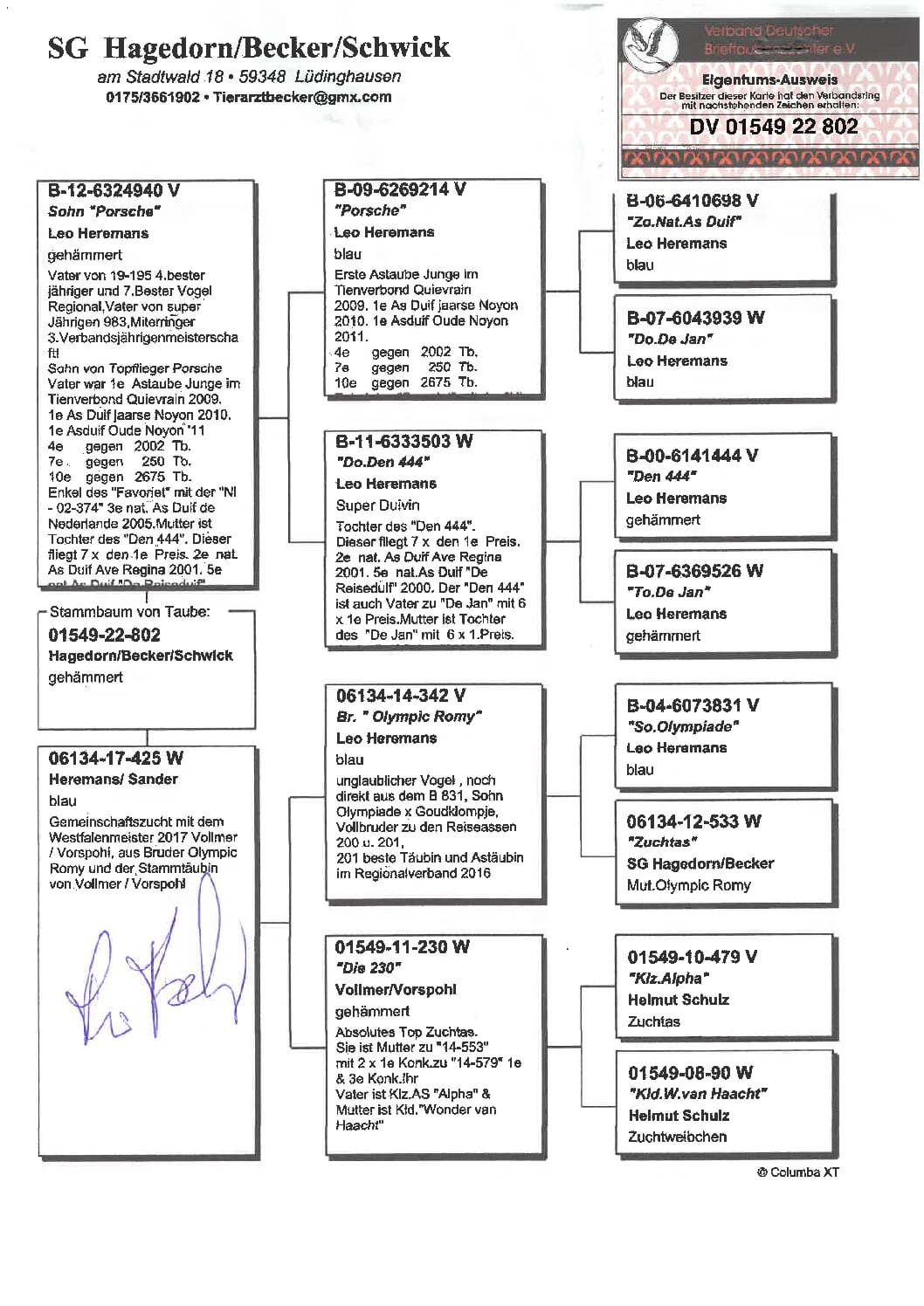 ベッカー DV1549-22-802 - 画像 (2)