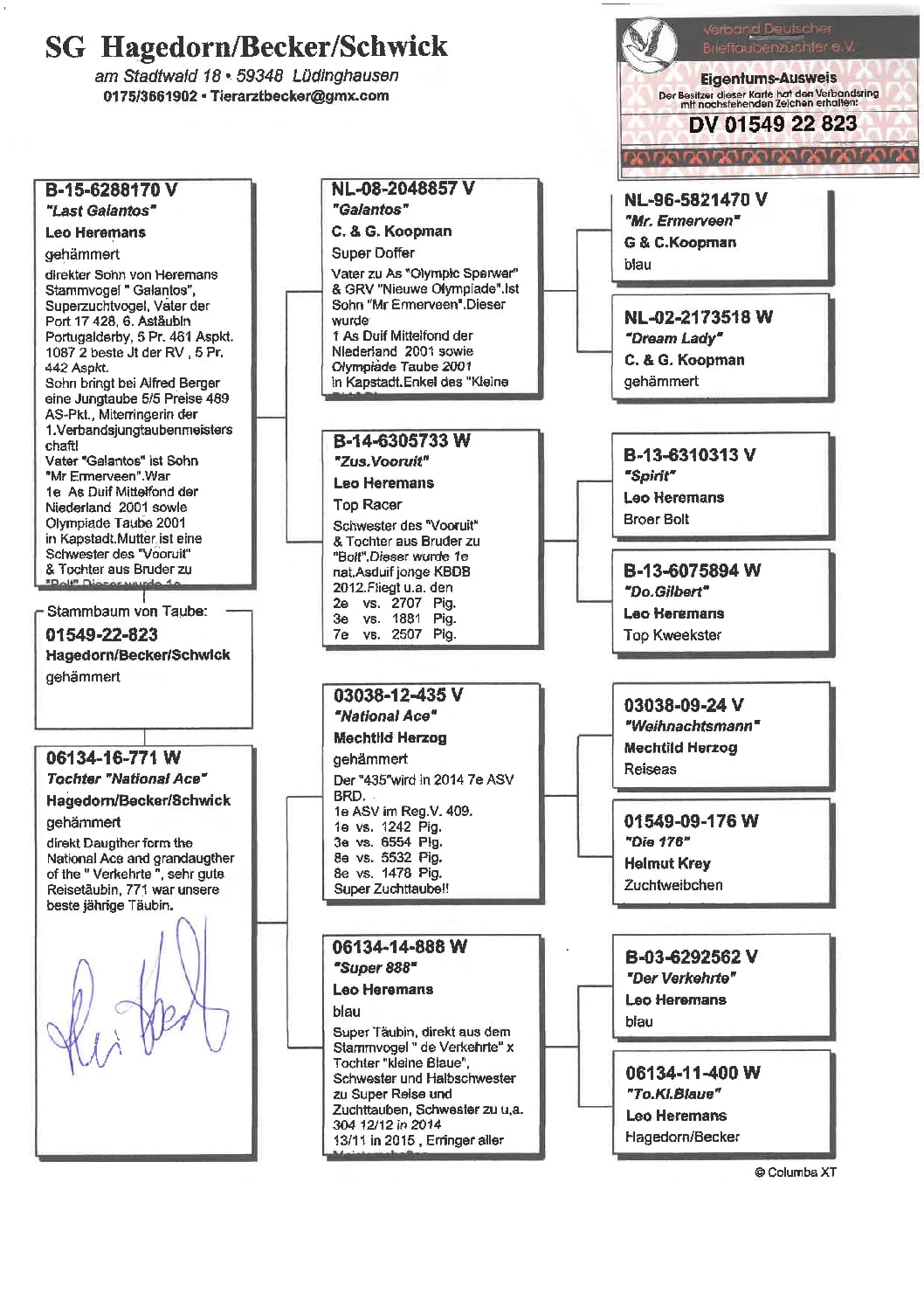 ベッカー DV1549-22-823 - 画像 (2)