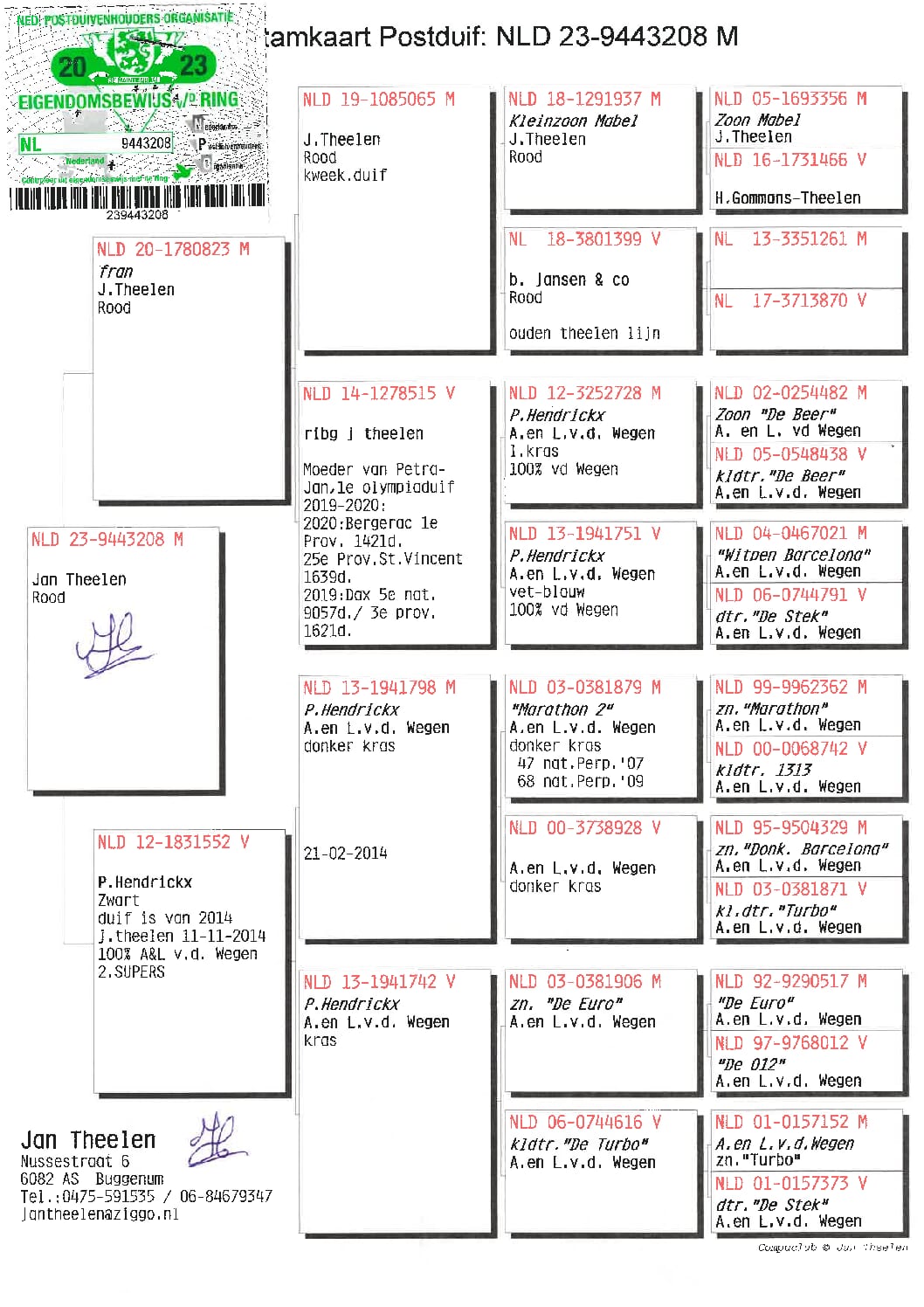 ヤン テーレン NL23-9443208 - 画像 (2)