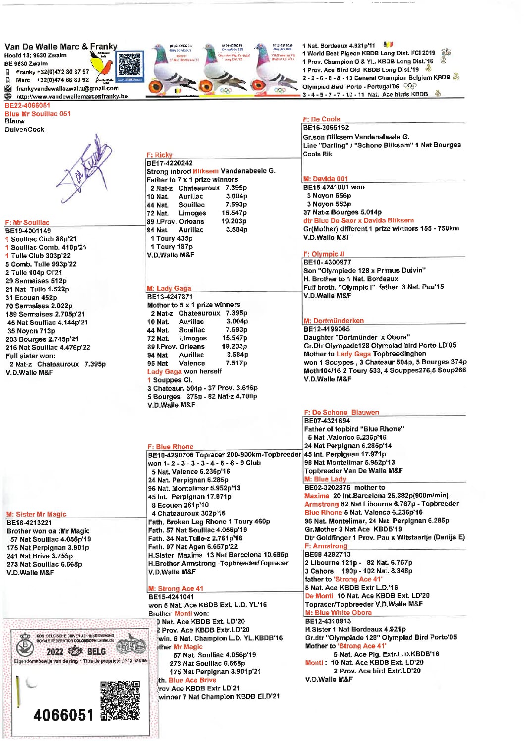 ヴァンデウォール・フランキー BE 4066051-22 - 画像 (2)