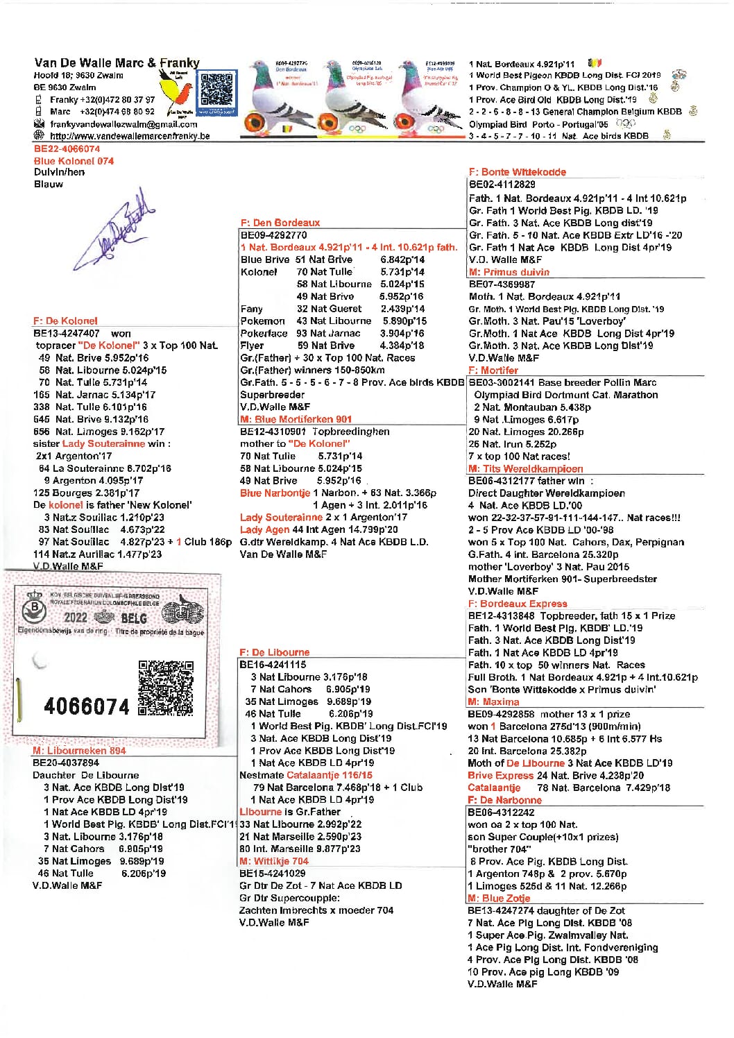 ヴァンデウォール・フランキー BE 4066074-22 売切れ - 画像 (2)