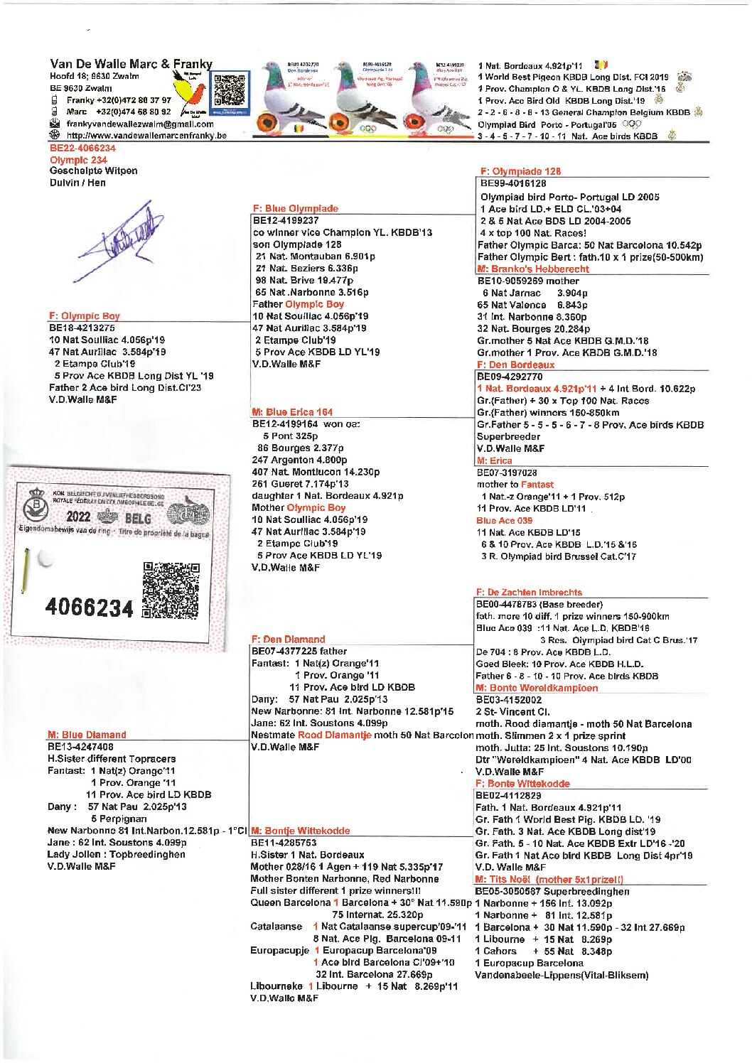 ヴァンデウォール・フランキー BE 4066234-22 - 画像 (2)