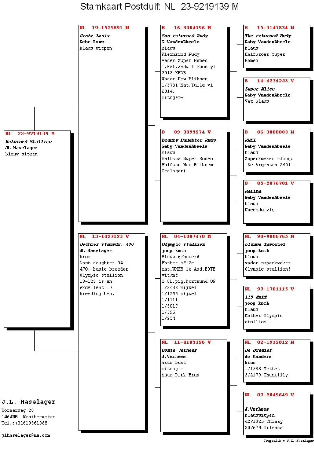 ハゼラガー NL 9219139-23 北野鳩舎 - 画像 (2)