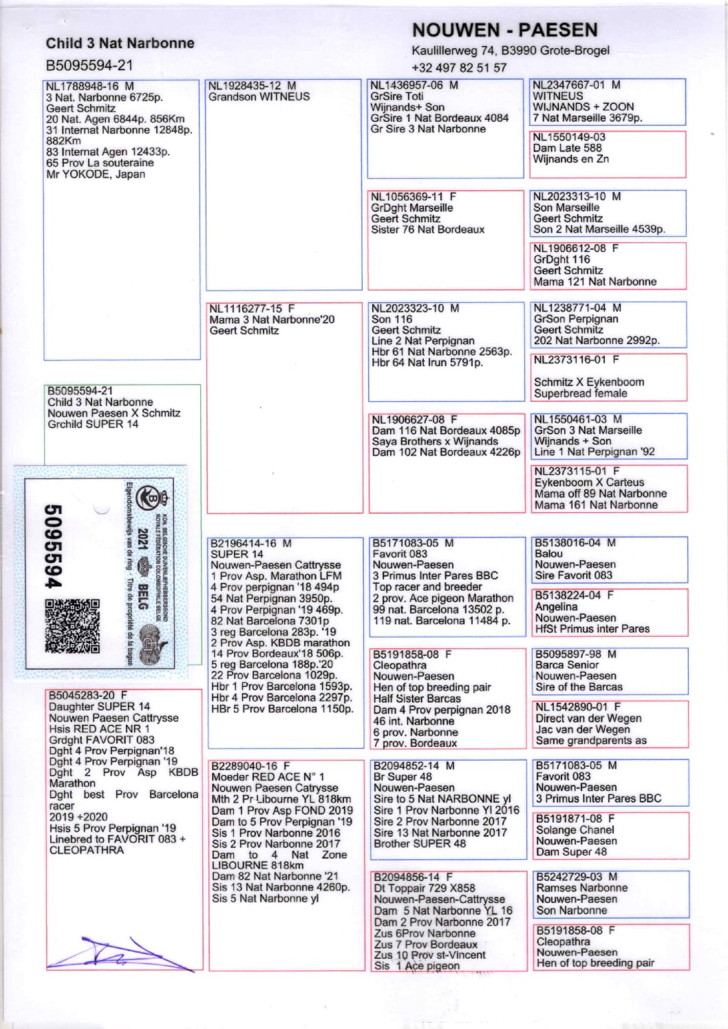 Nouwen Paesen 21-5095594 売切れ - 画像 (2)