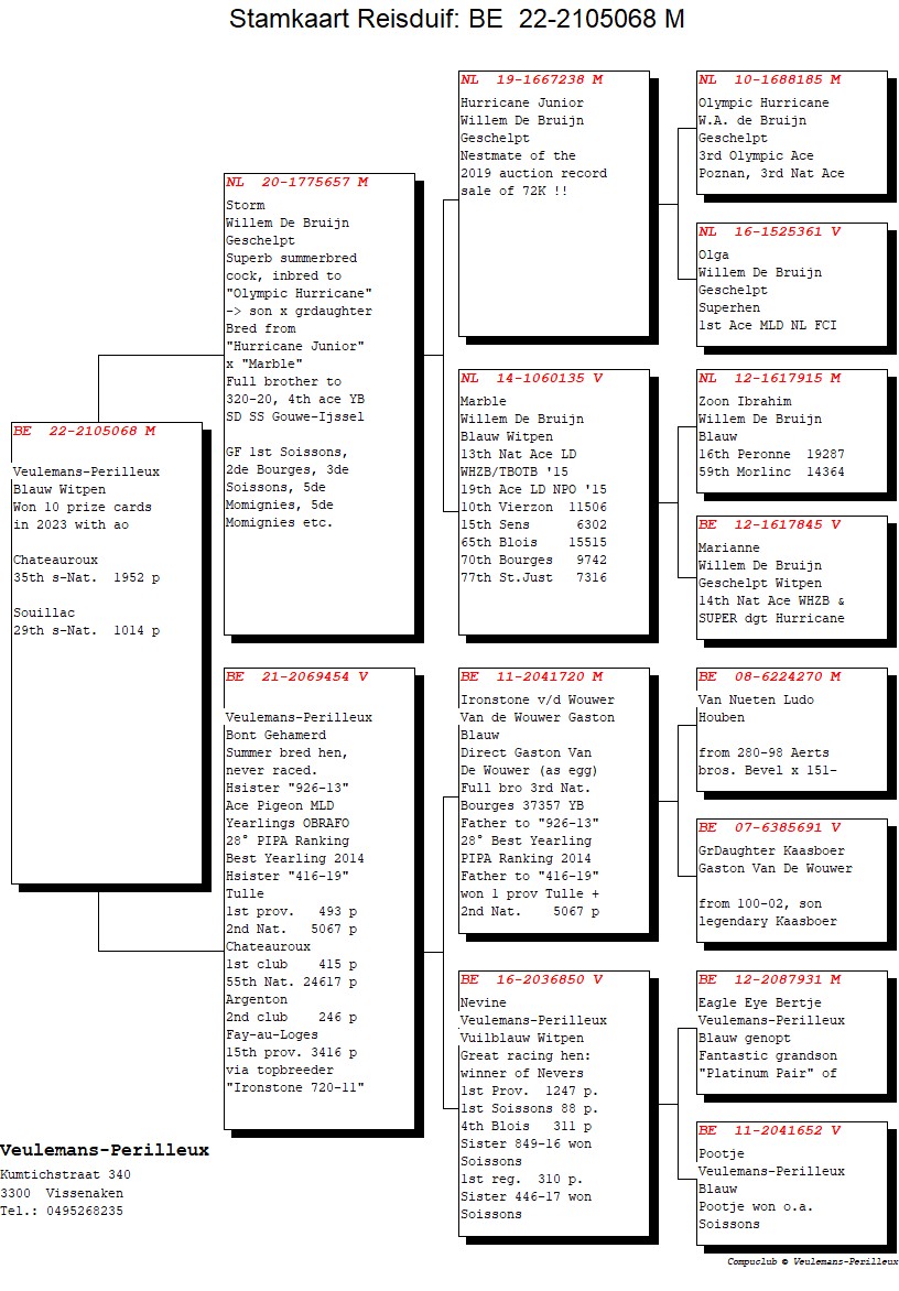 ヒューレマンス BE22-2105068 売切れ - 画像 (2)