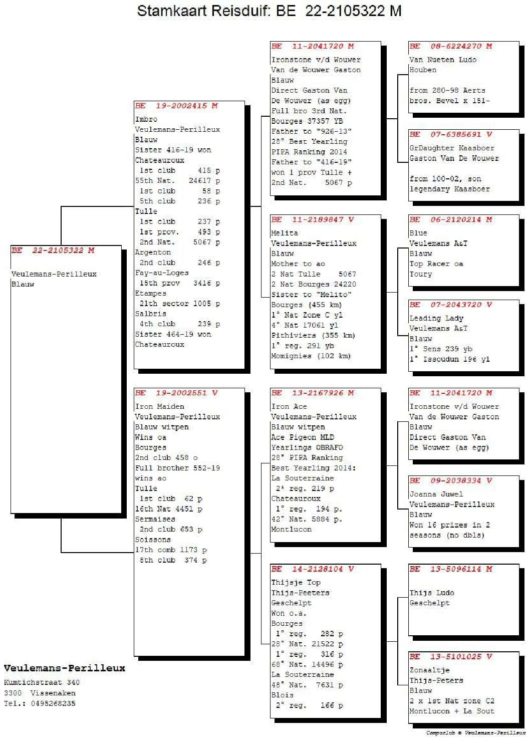 ヒューレマンス BE22-2105322 北野鳩舎種鳩 - 画像 (2)