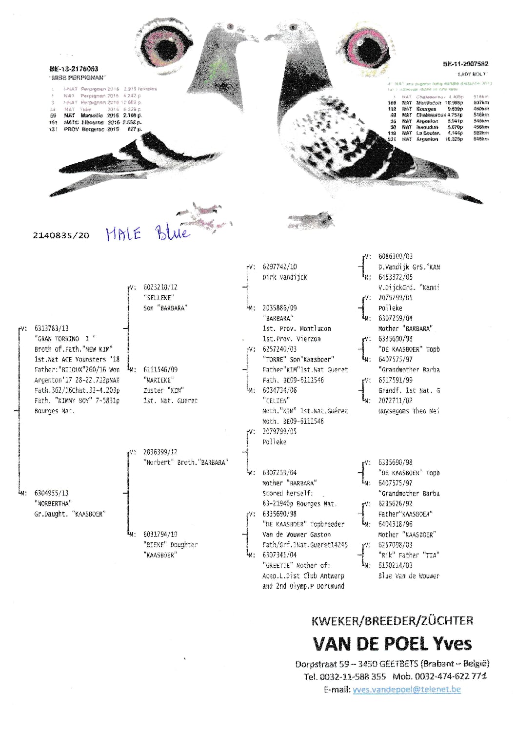 100%ガストン BE20-2140835 売切れ - 画像 (3)