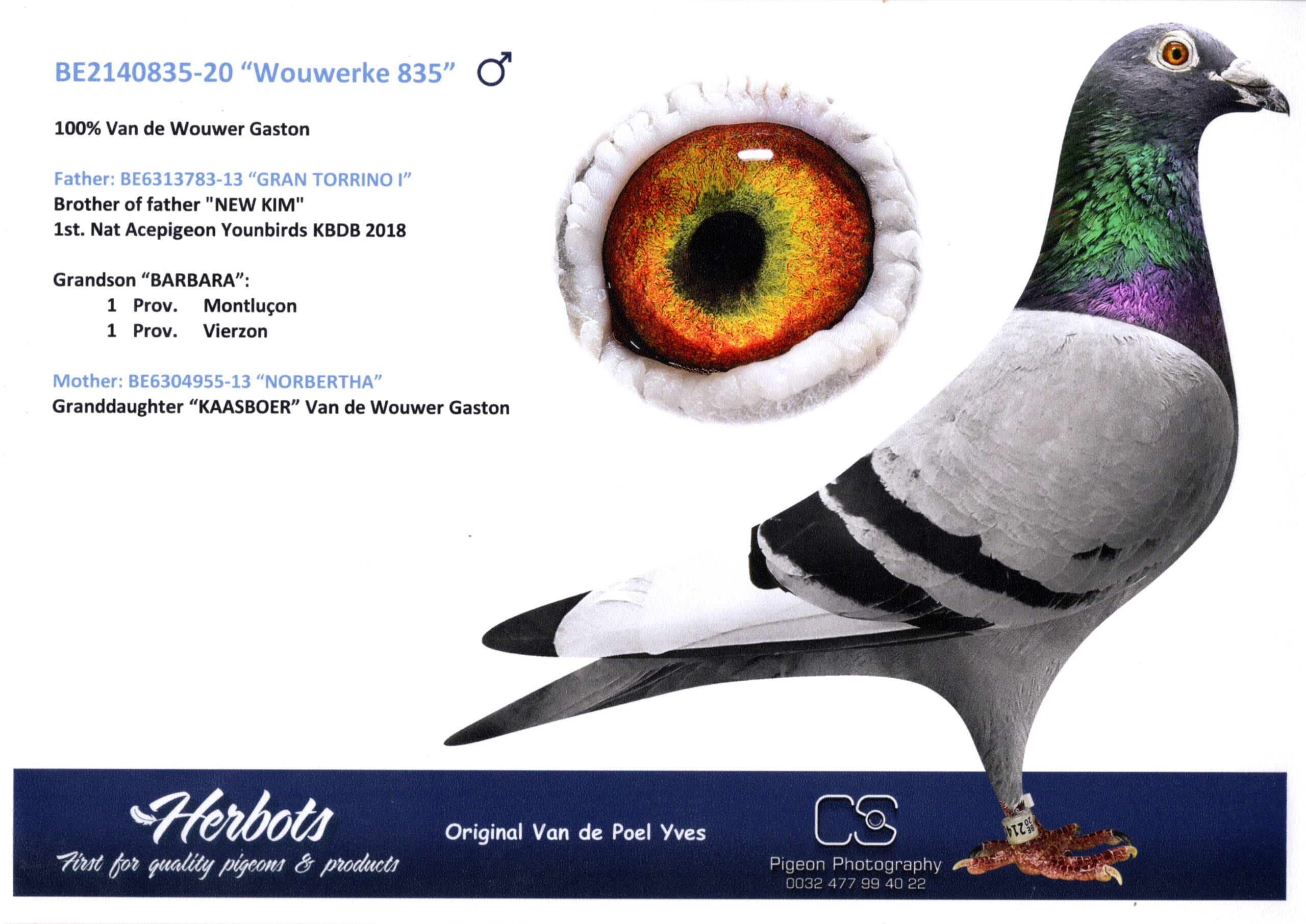 100%ガストン BE20-2140835 売切れ - 画像 (2)