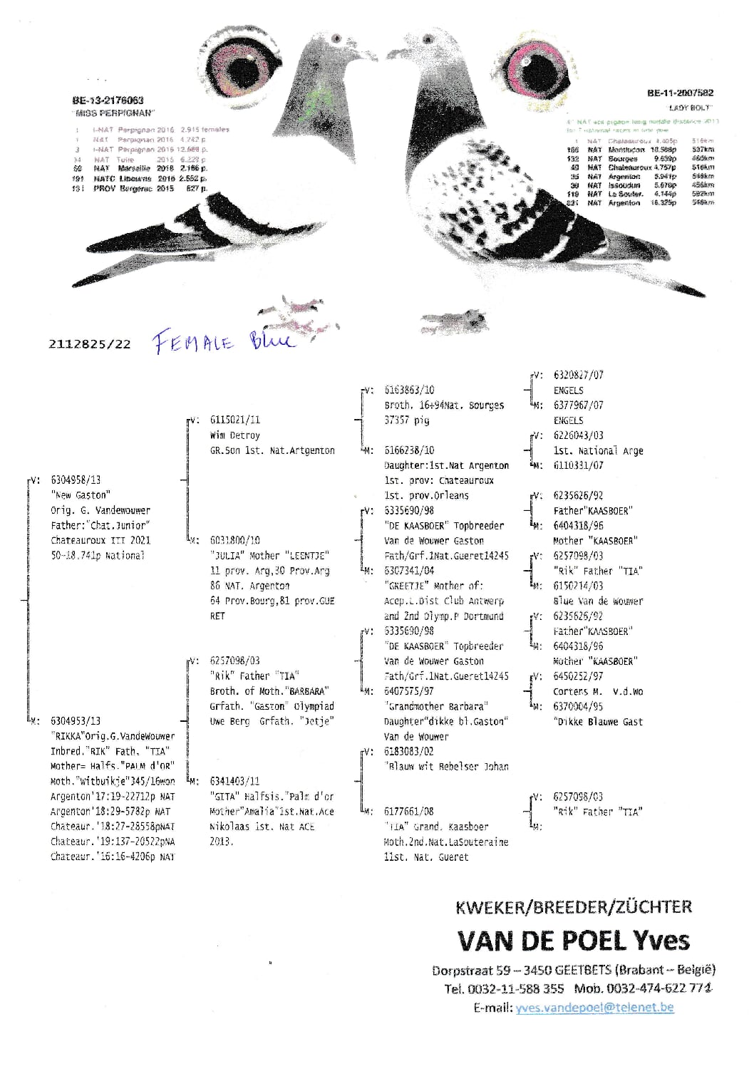 100%ガストン BE22-2112825 売切れ - 画像 (3)