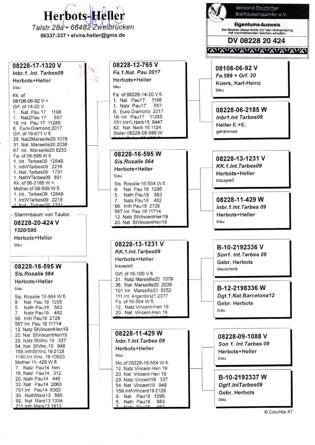 Heller DV08228-20-424 - 画像 (2)