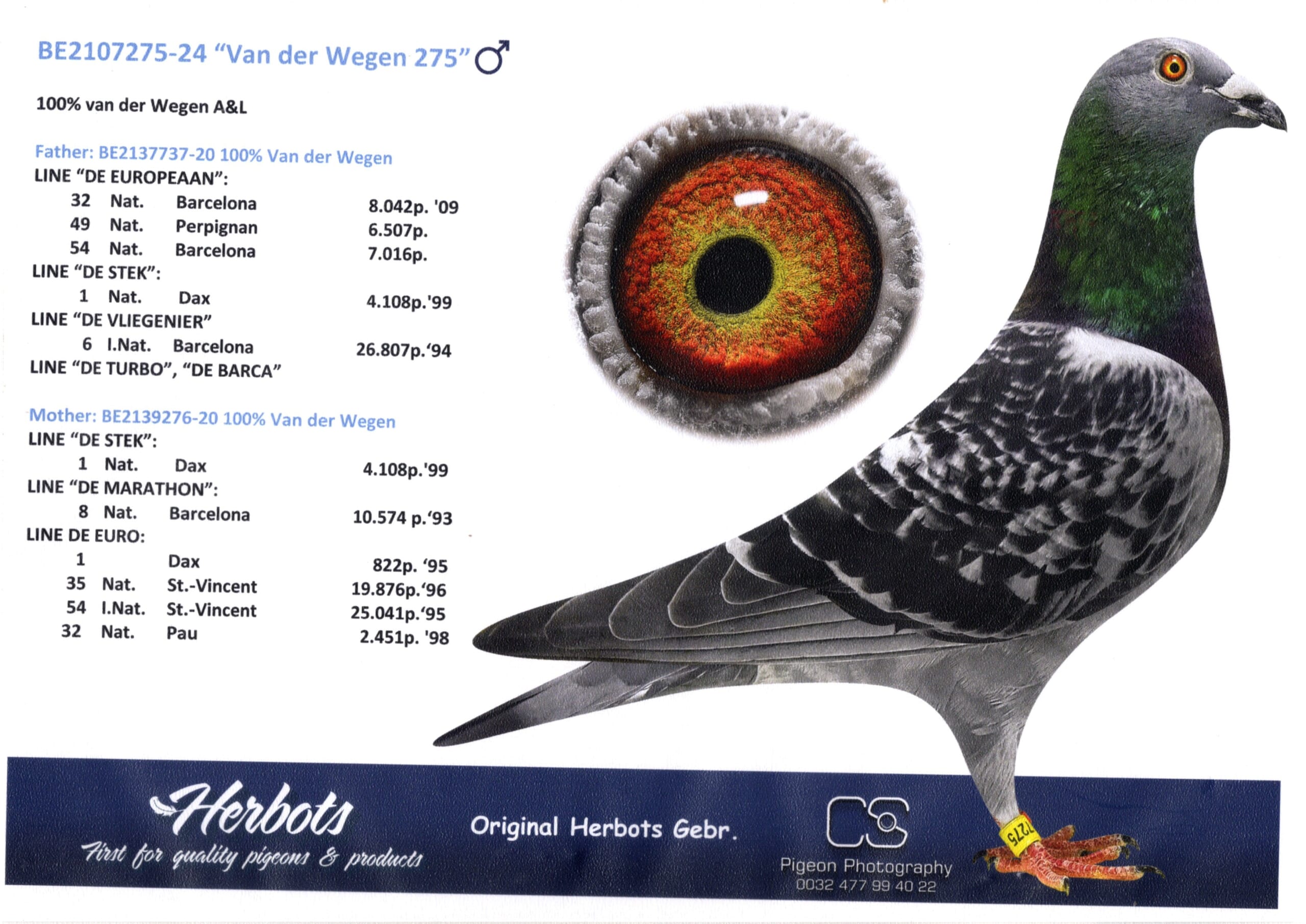 ファンデ・ウェーゲン BE24-2107275 売切れ - 画像 (2)