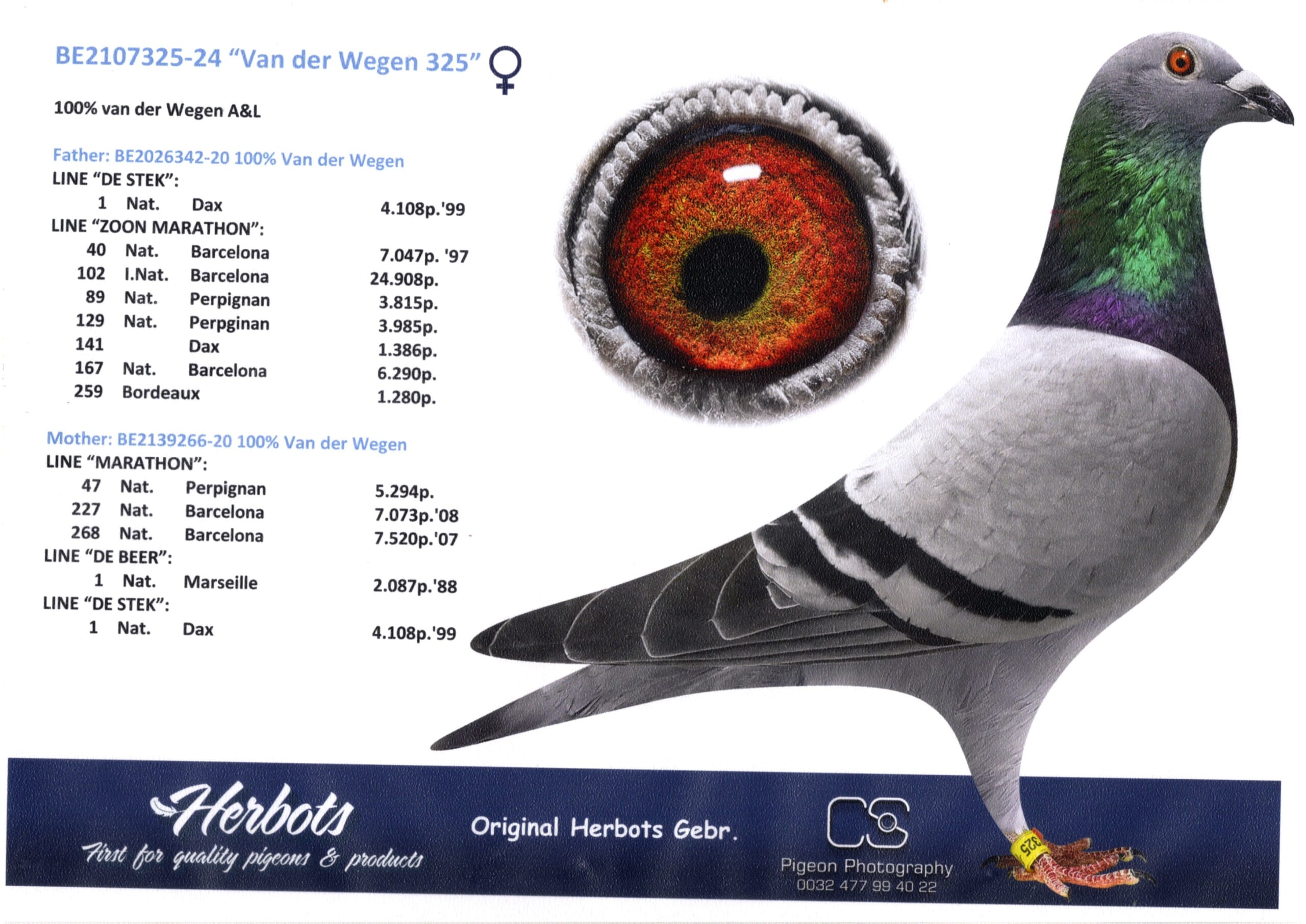 ファンデ・ウェーゲン BE24-2107325 - 画像 (2)