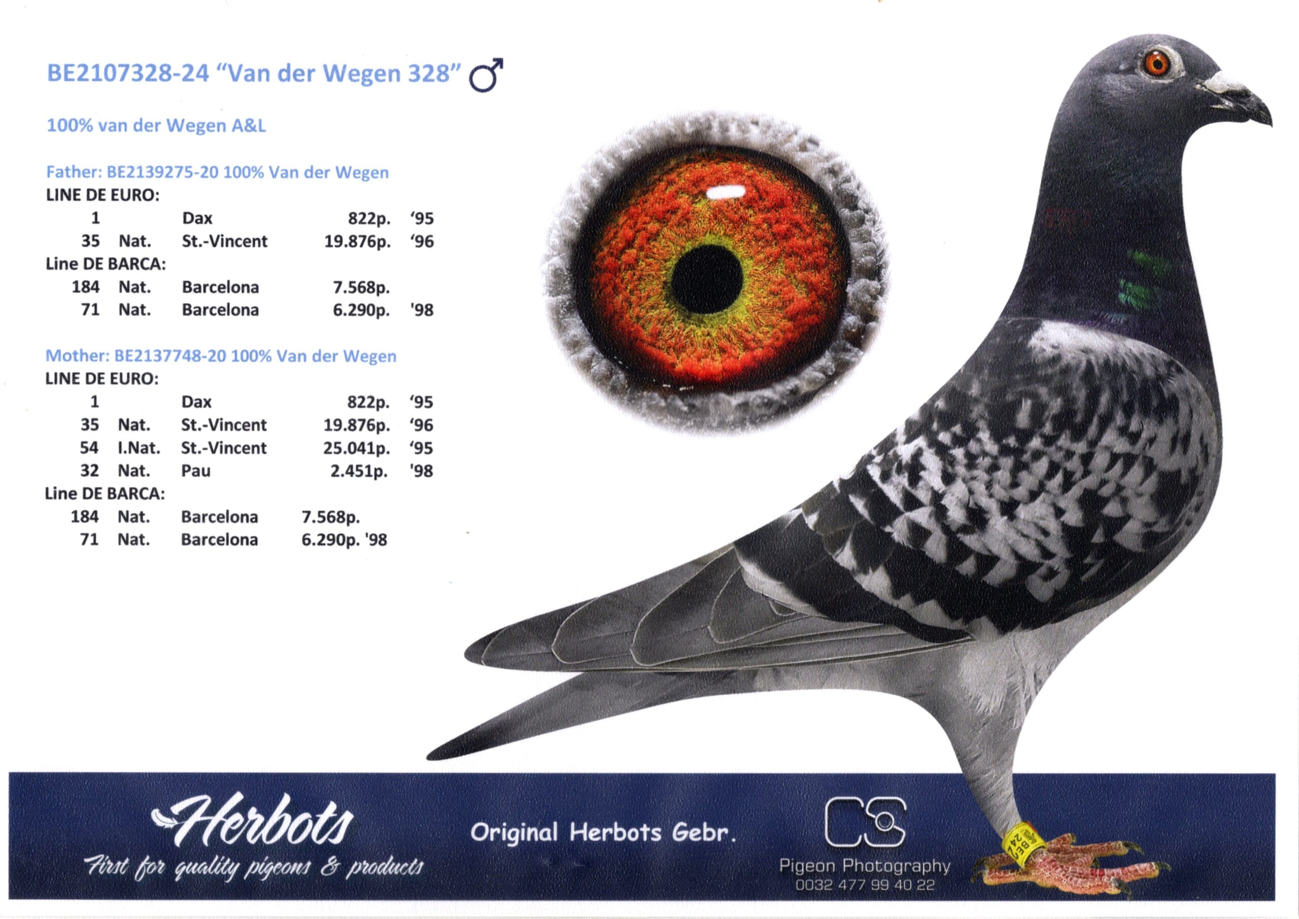 ファンデ・ウェーゲン BE24-2107328 売切れ - 画像 (2)