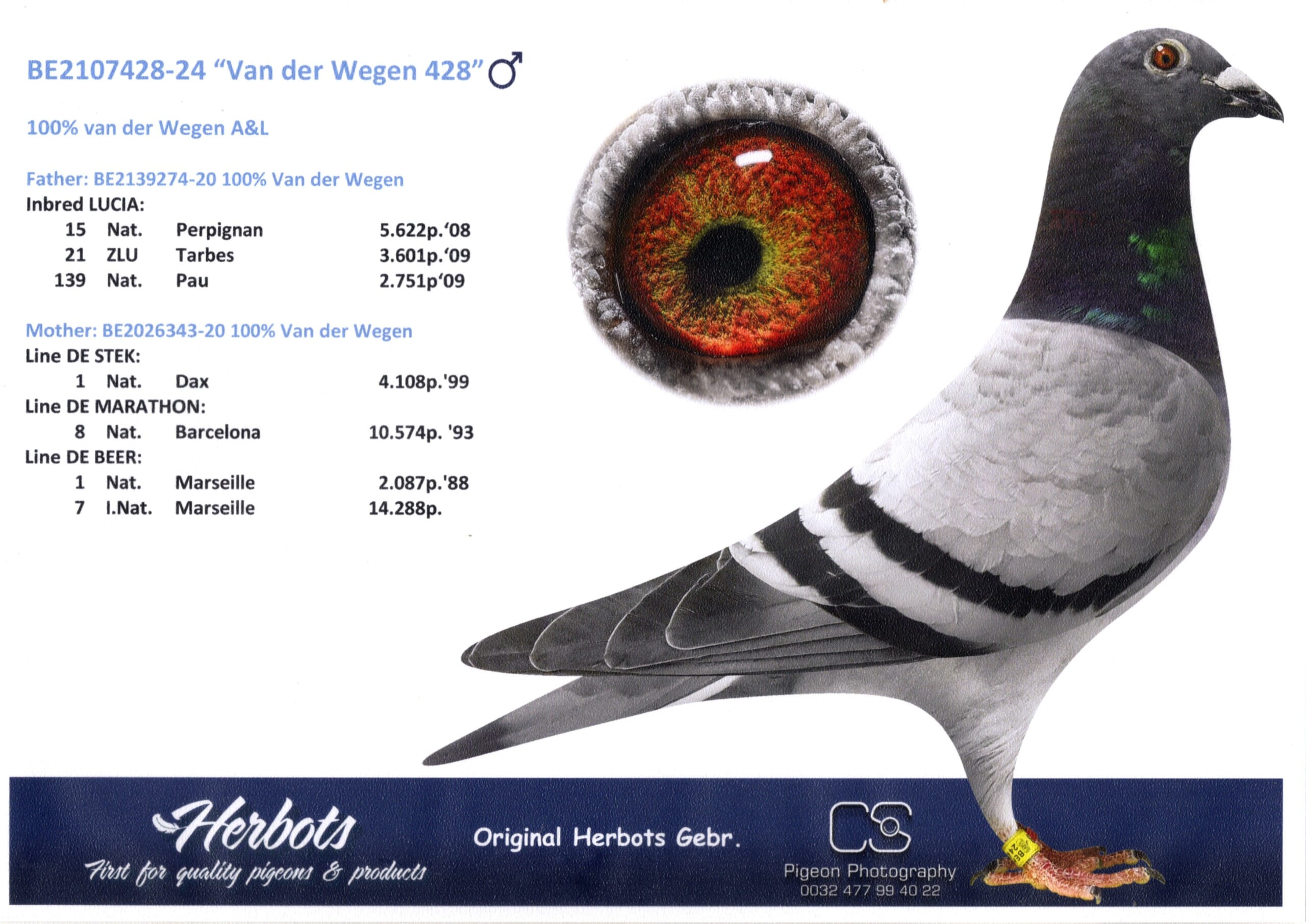 ファンデ・ウェーゲン BE24-2107428 - 画像 (2)