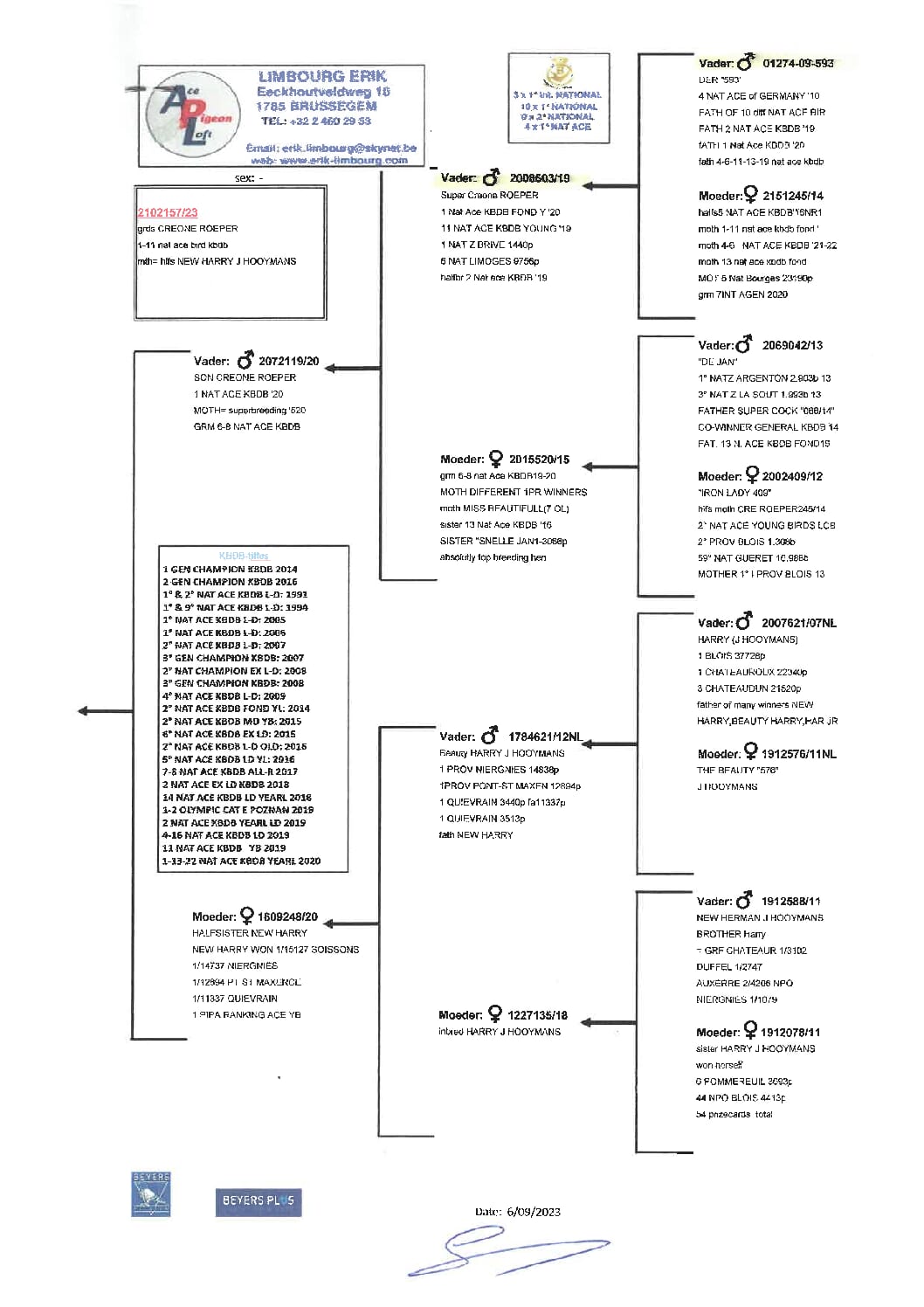 エリック・リンブルグ BE23-2102157 - 画像 (2)