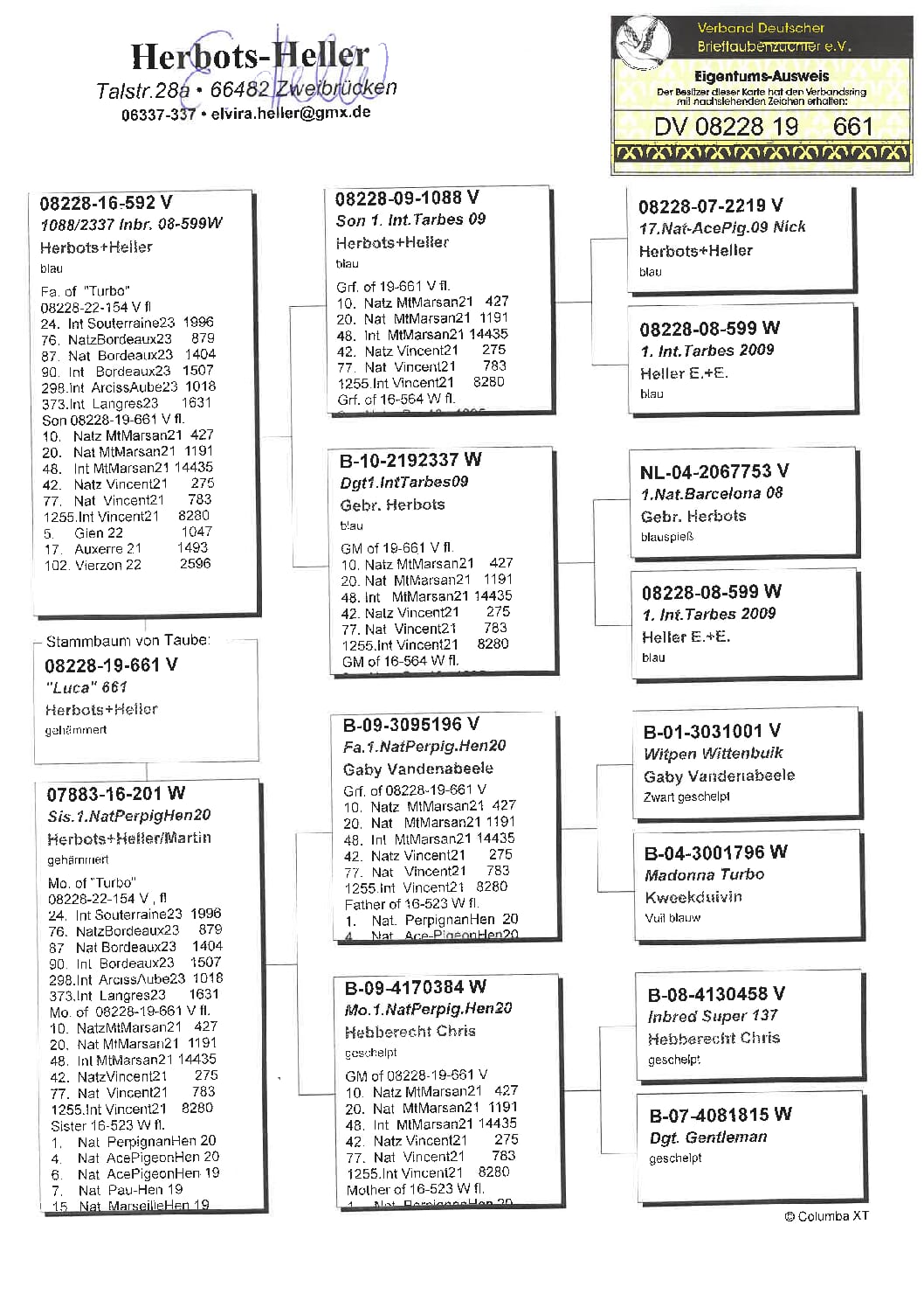 ヘラー DV08228-19-661売切れ - 画像 (3)