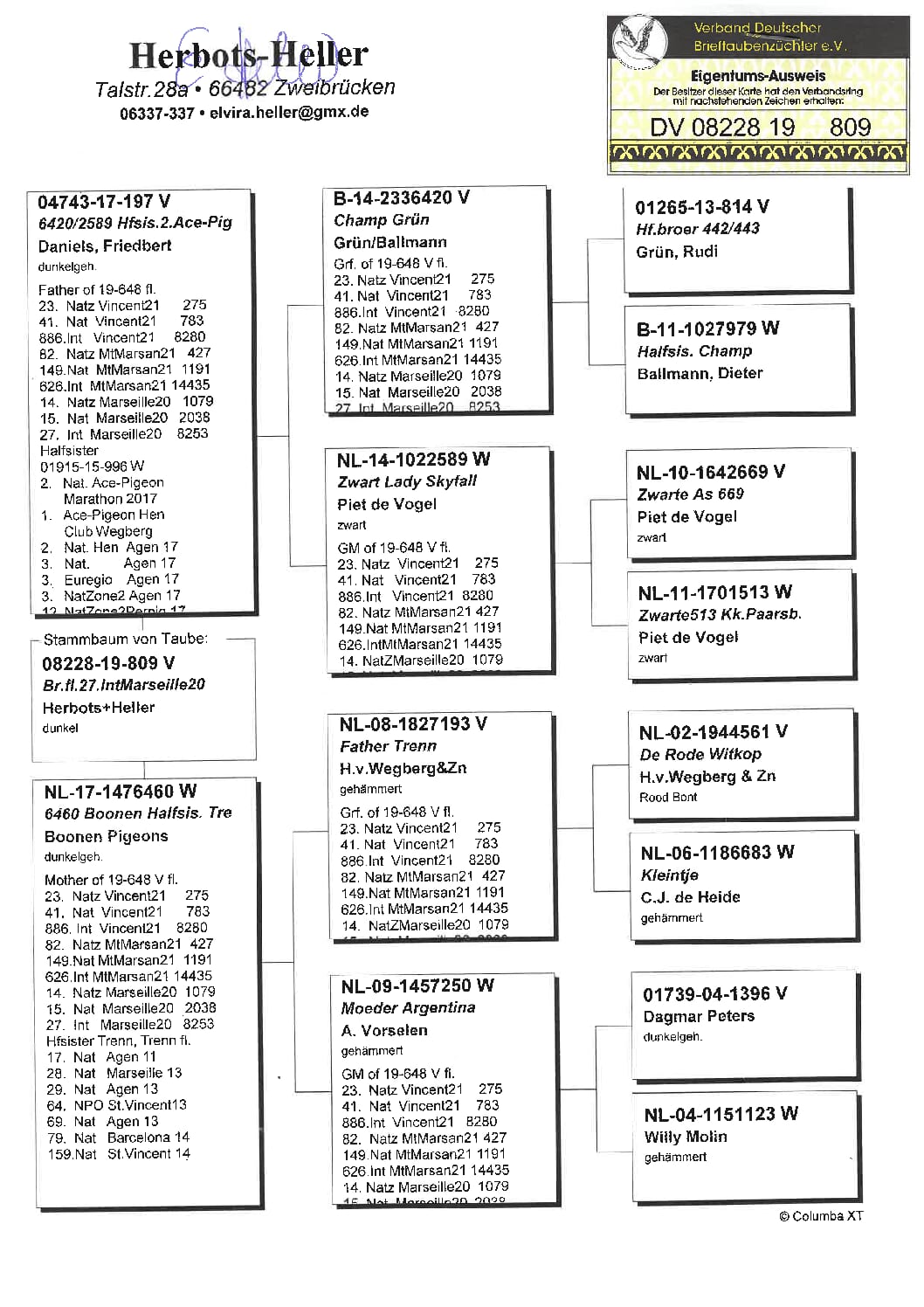 ヘラー DV08228-19-809 売切れ - 画像 (2)