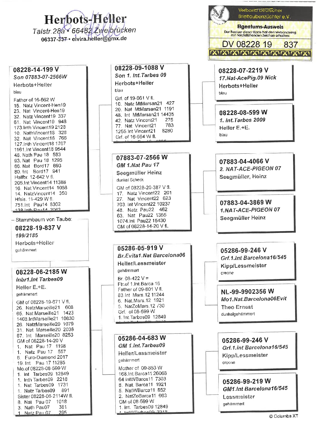 ヘラー DV08228-19-837 - 画像 (2)