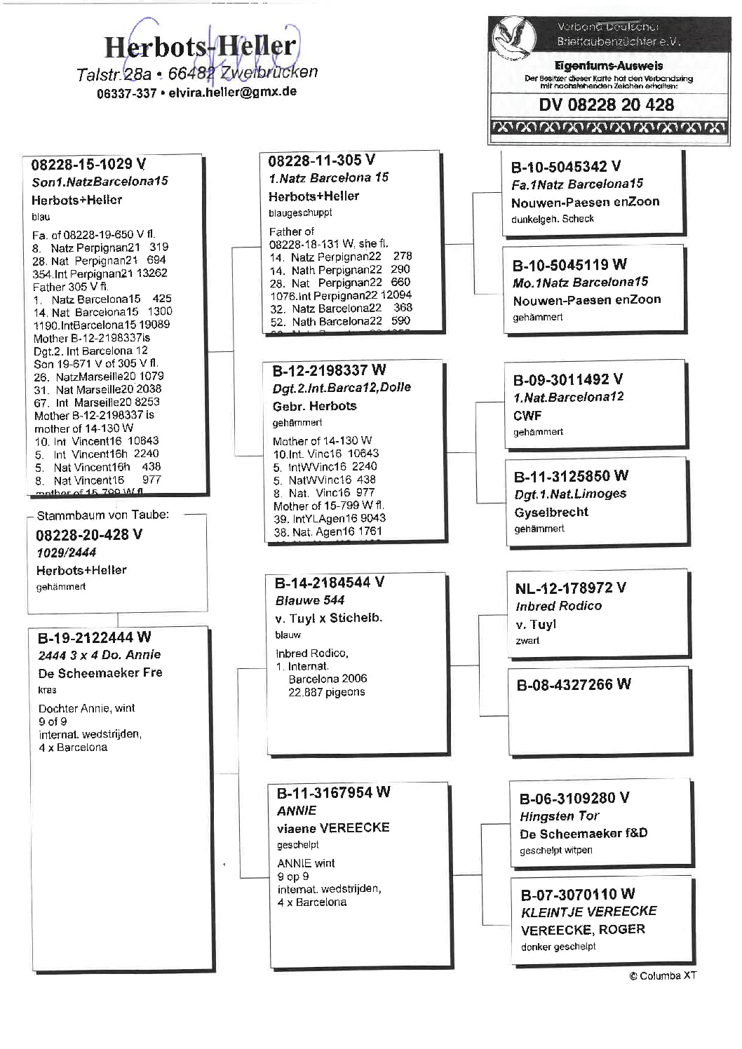 ヘラー DV08228-20-428 - 画像 (2)