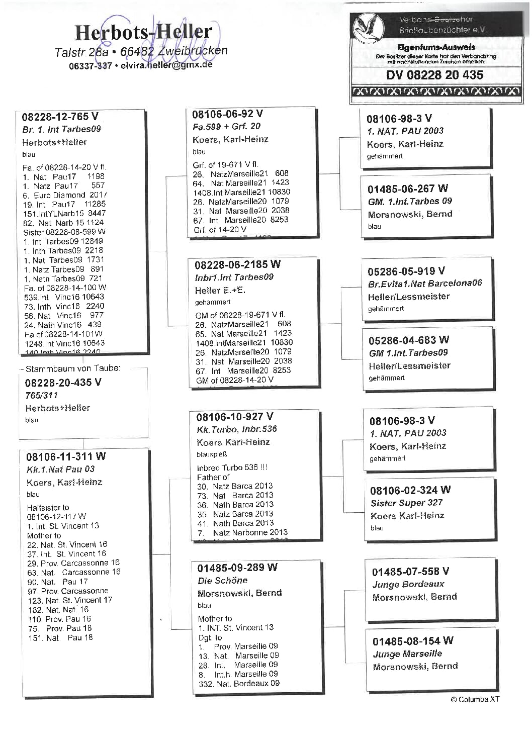 ヘラー DV08228-20-435 - 画像 (2)