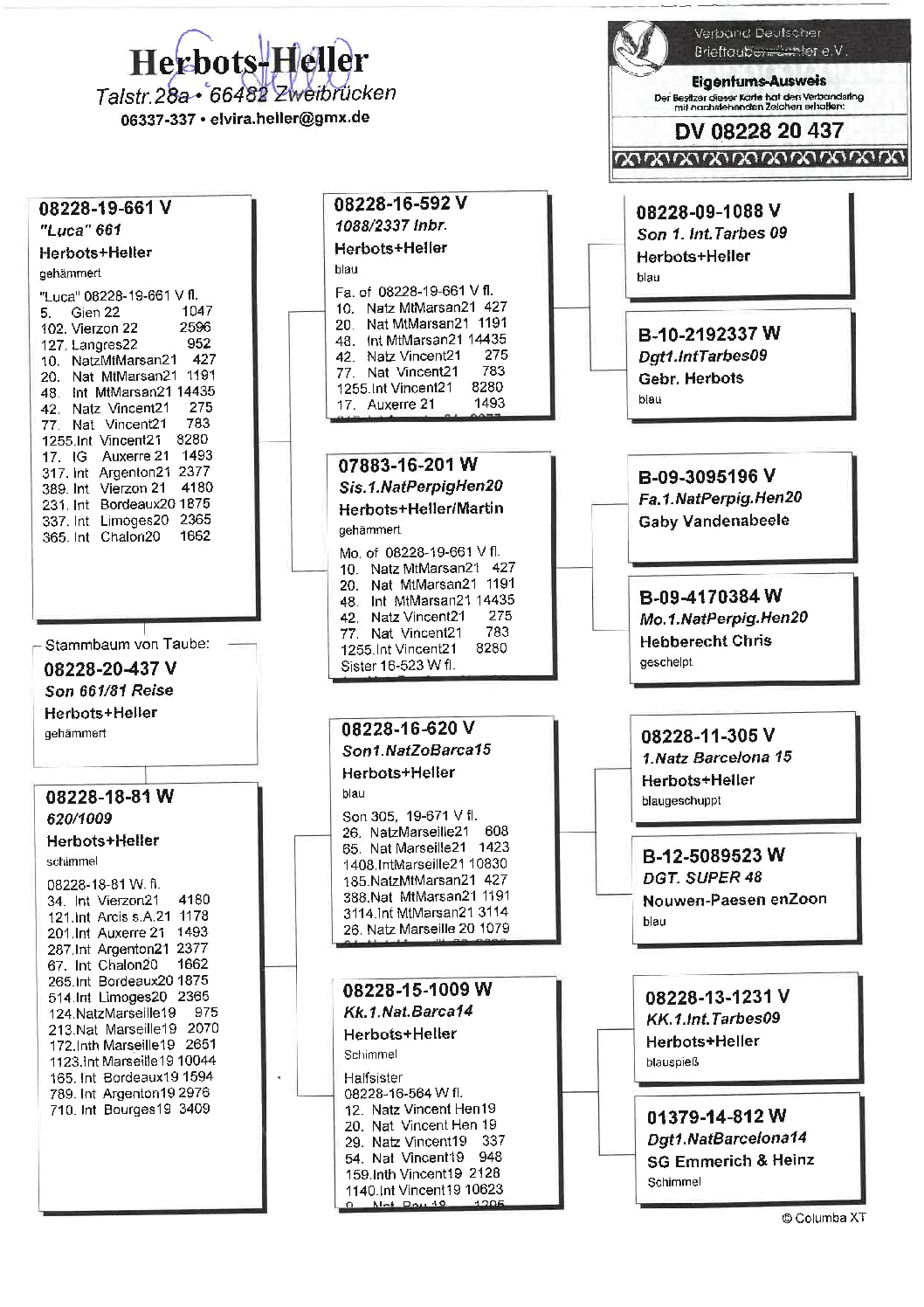 ヘラー DV08228-20-437 売切れ - 画像 (2)