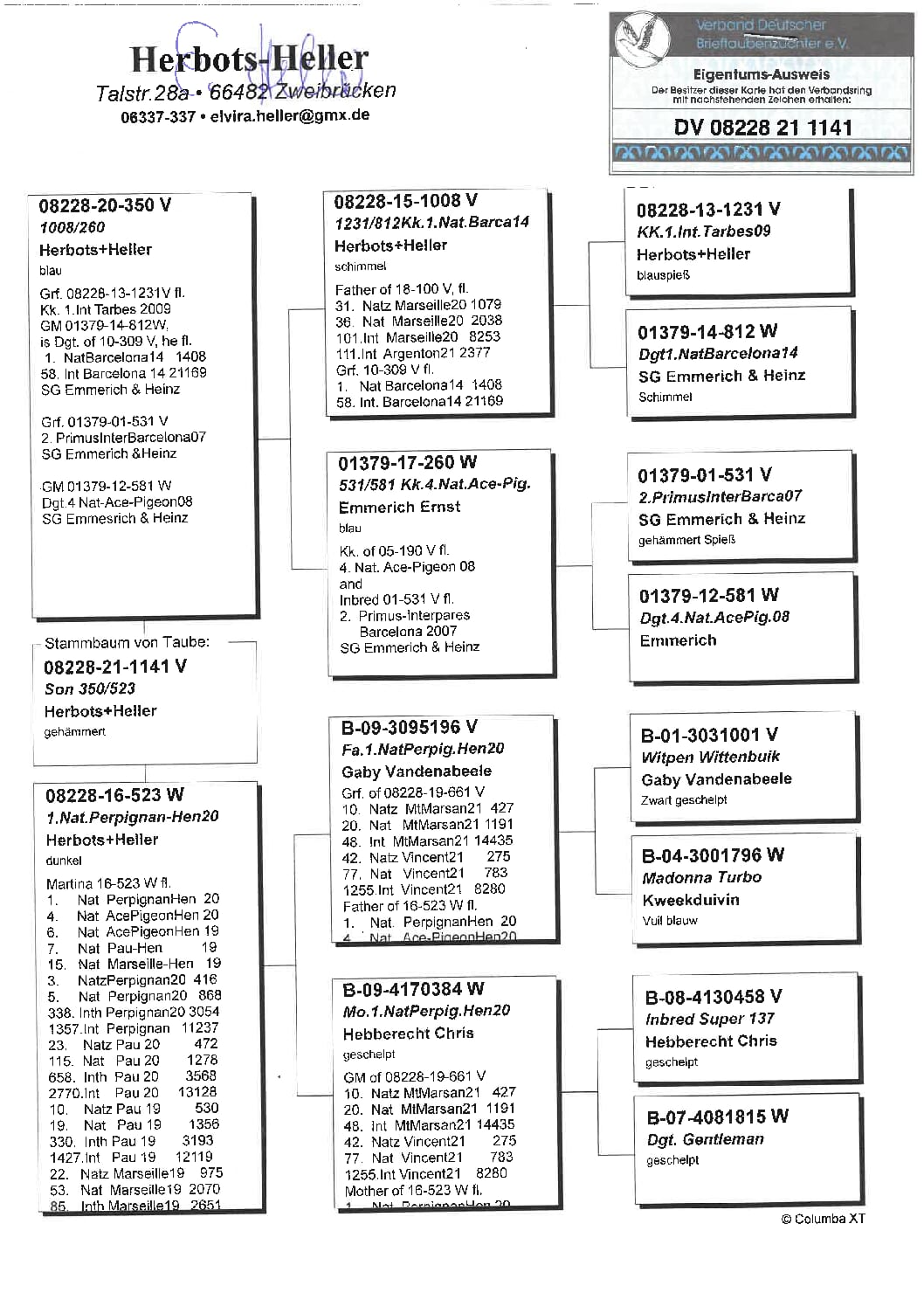 ヘラー DV08228-21-1141 売切れ - 画像 (2)
