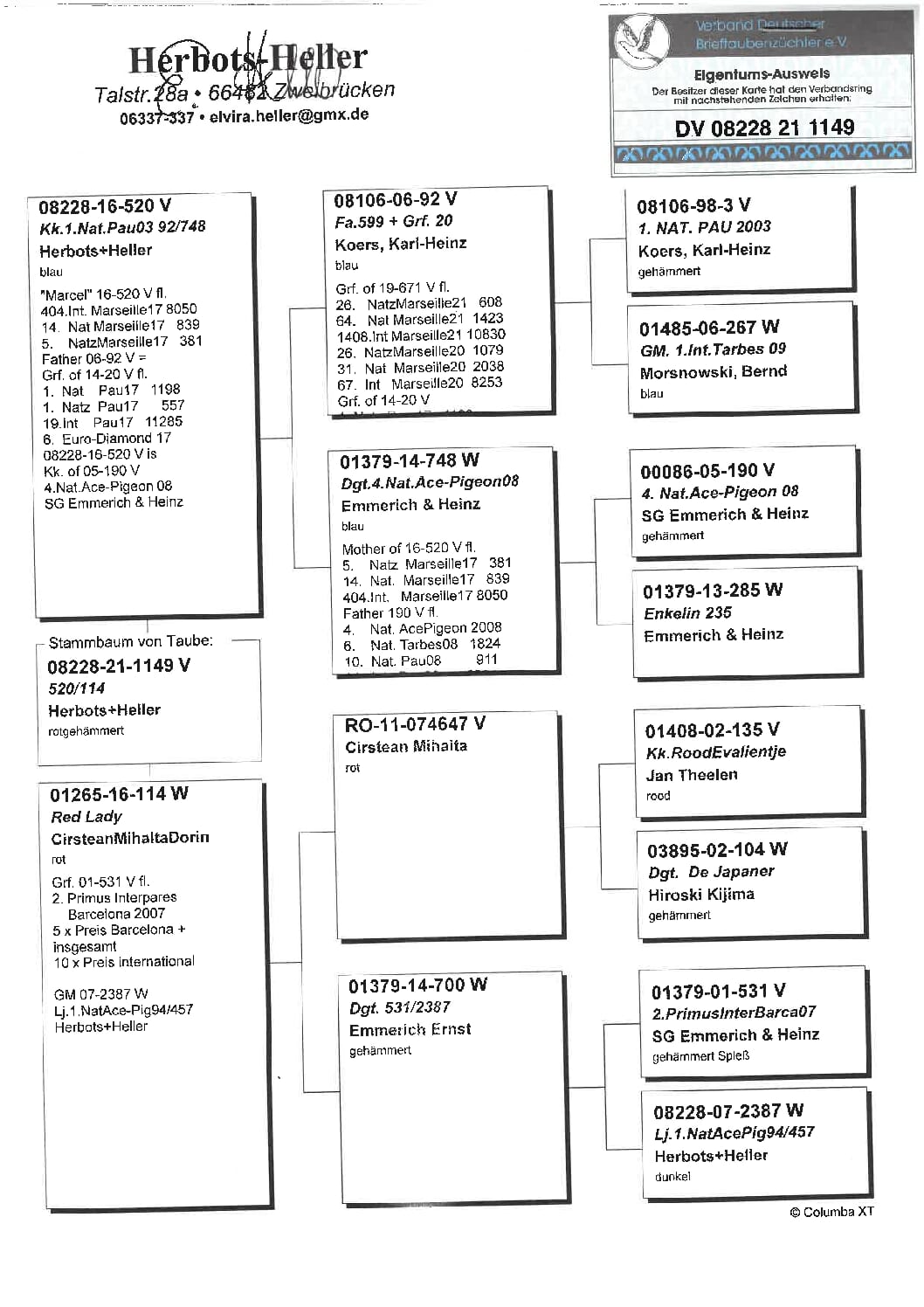 ヘラー DV08228-21-1149 売切れ - 画像 (2)
