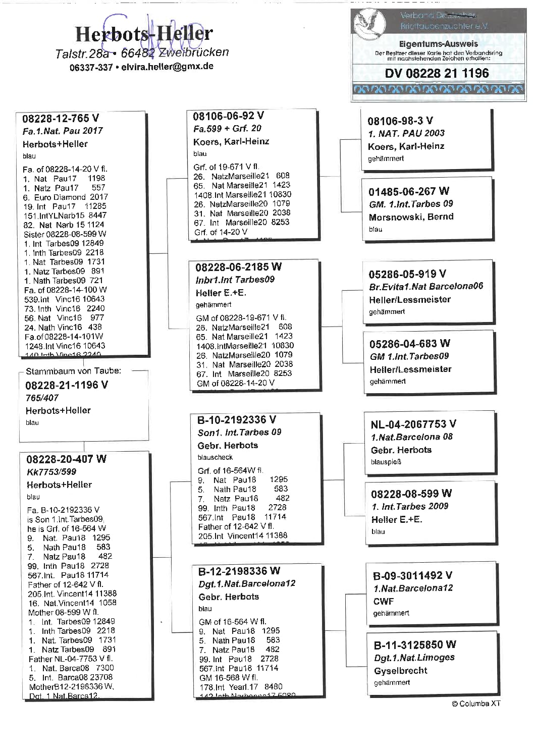 ヘラー DV08228-21-1196 - 画像 (2)