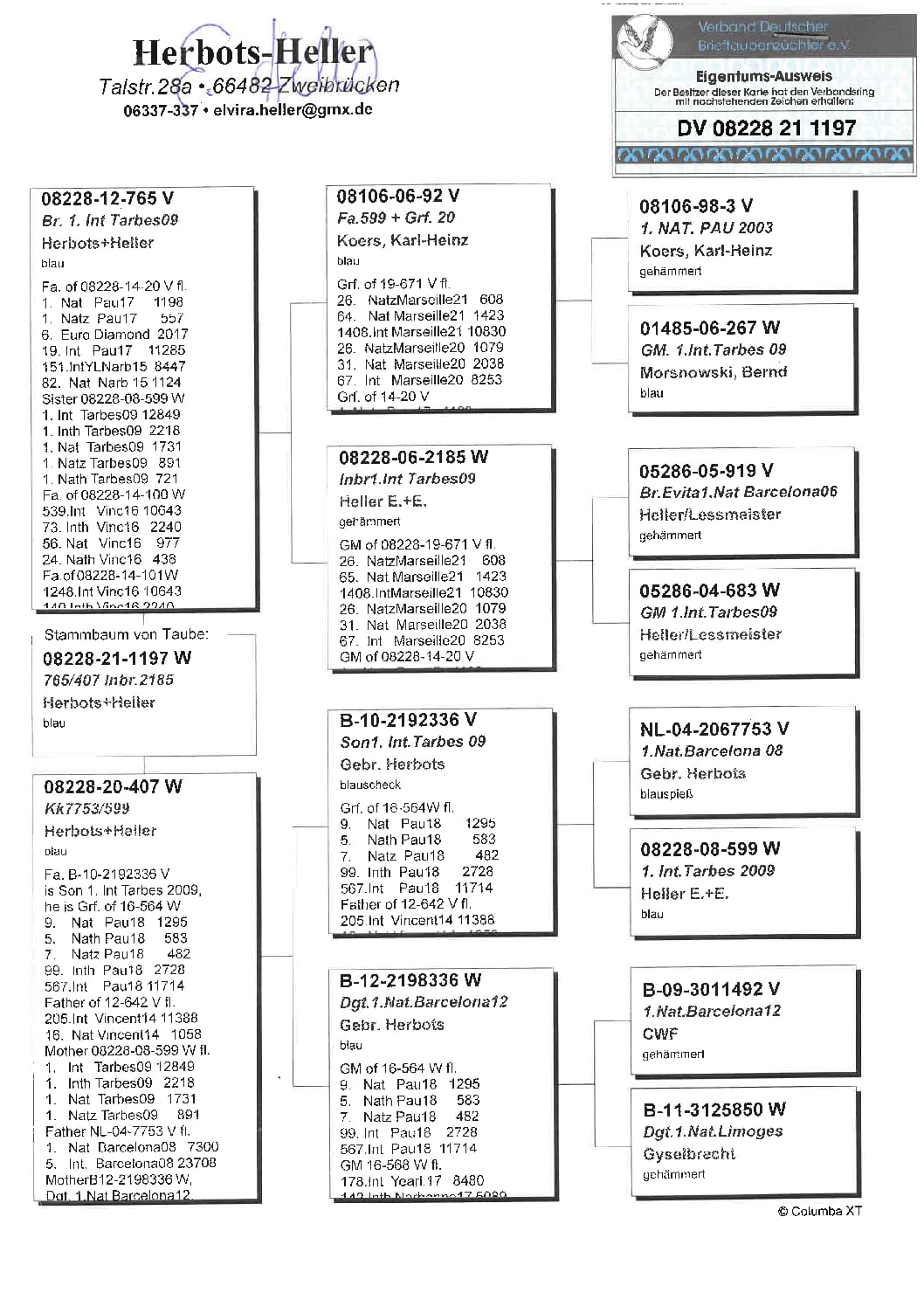ヘラー DV08228-21-1197 売切れ - 画像 (2)