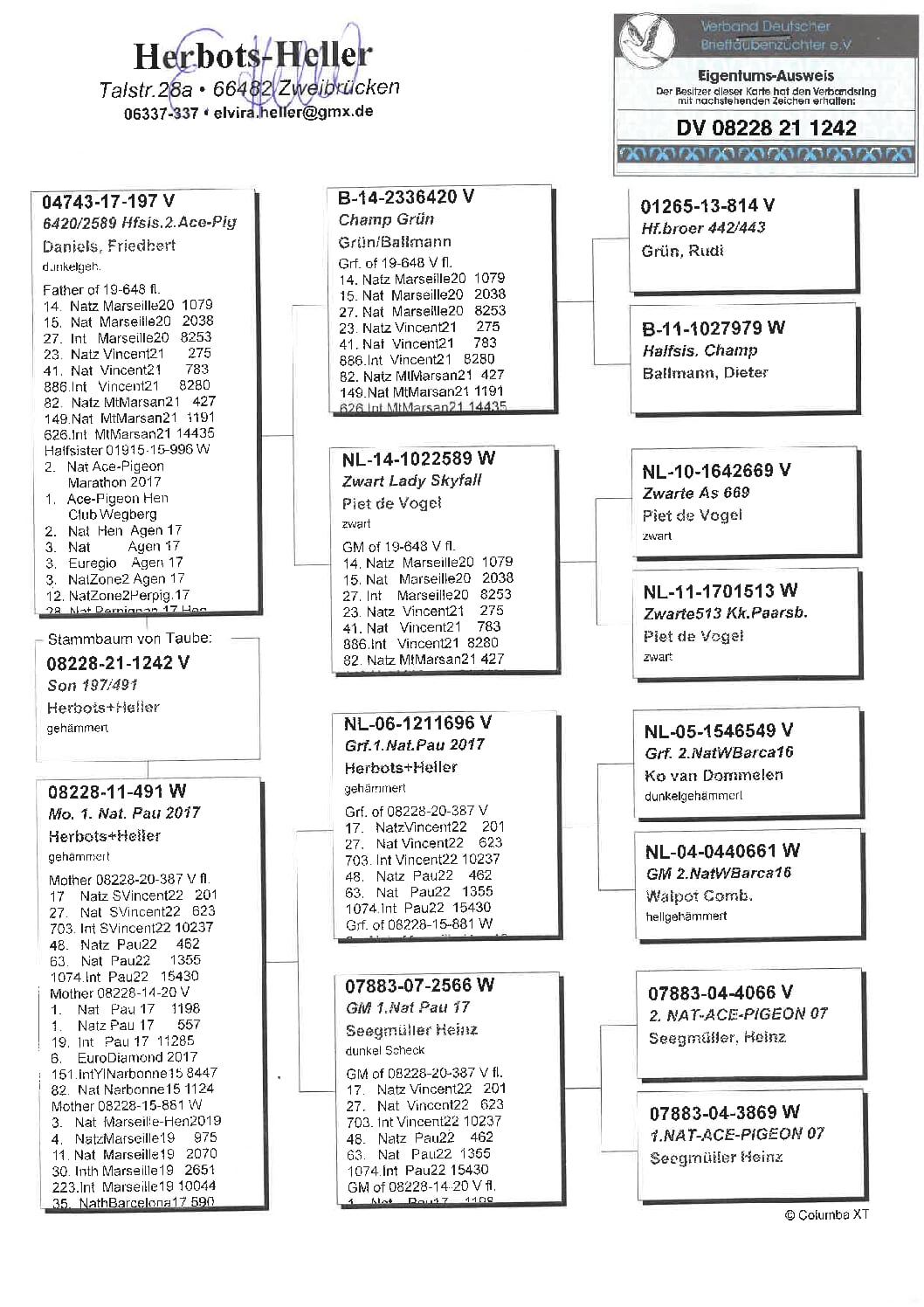 ヘラー DV08228-21-1242 売切れ - 画像 (2)