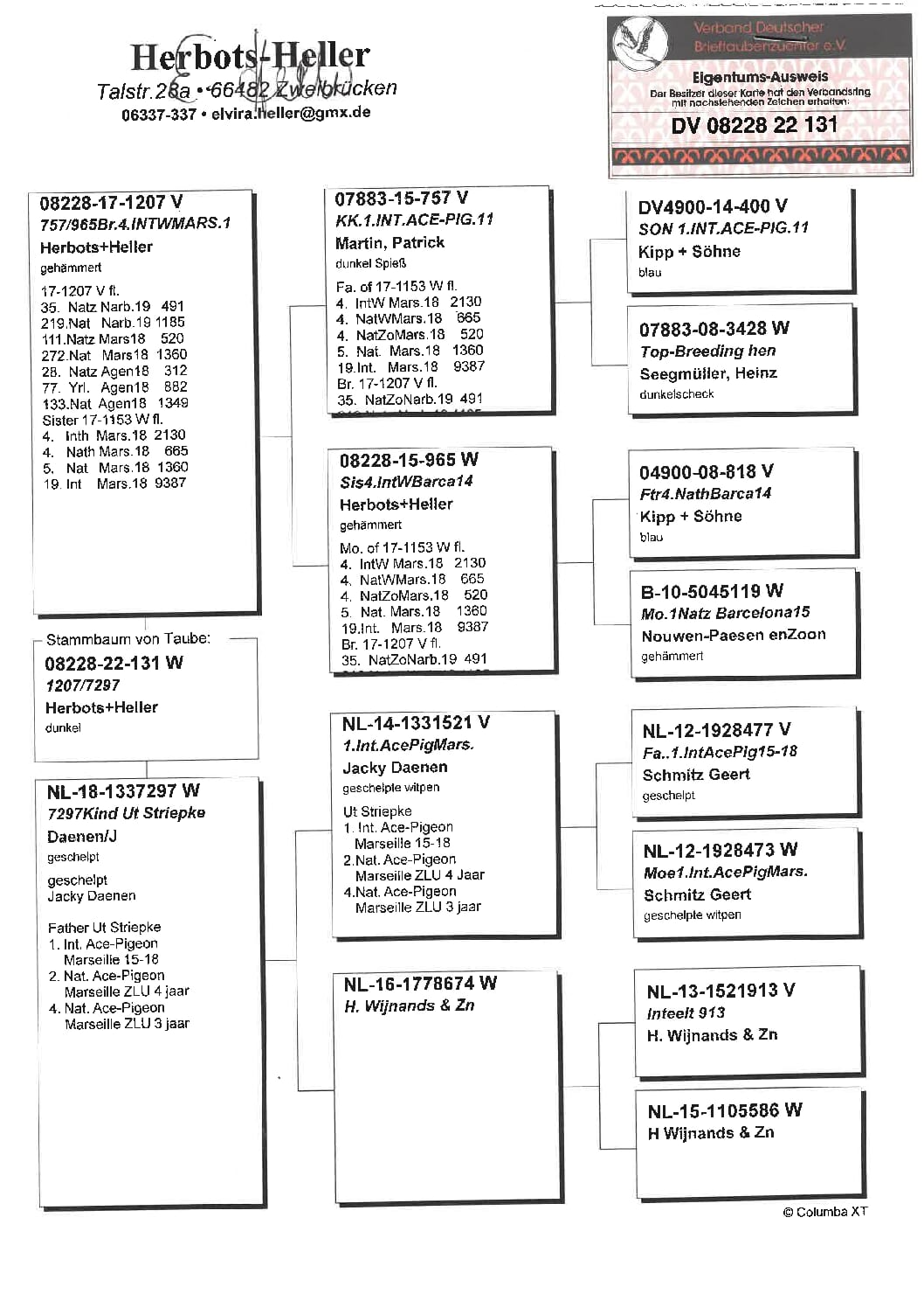 ヘラー DV08228-22-131 売切れ - 画像 (2)
