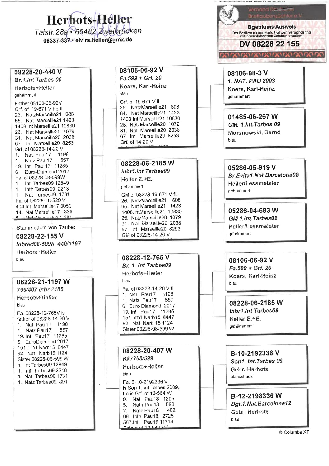 ヘラー DV08228-22-155 - 画像 (2)