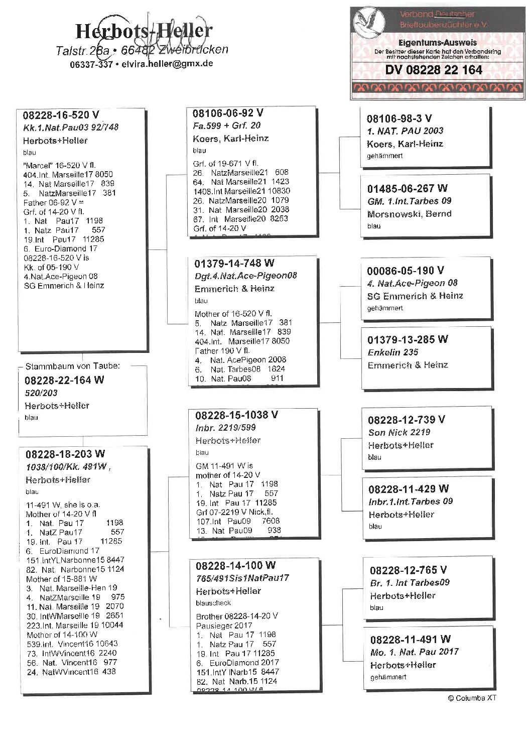 ヘラー DV08228-22-164 - 画像 (2)