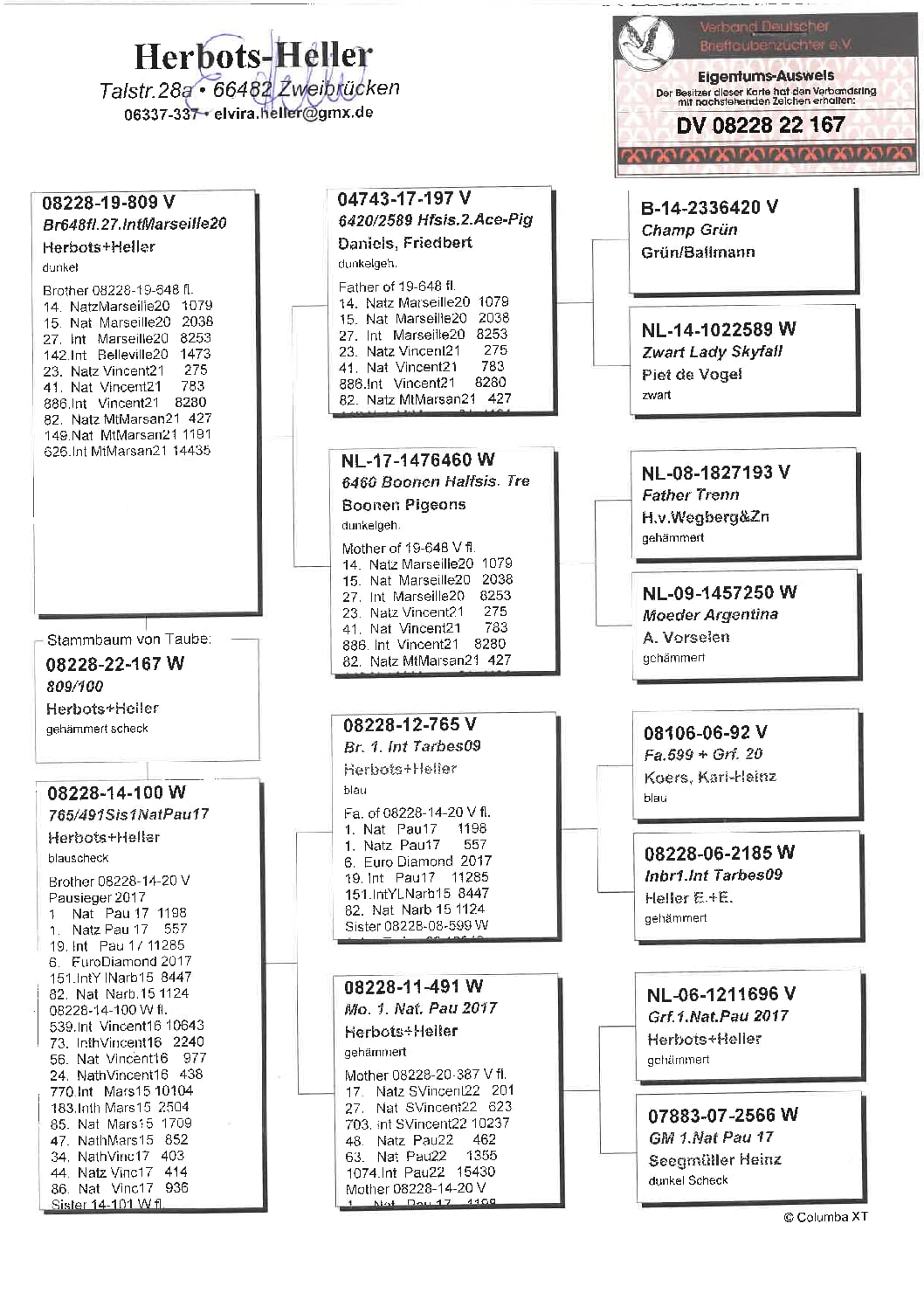 ヘラー DV08228-22-167 - 画像 (2)