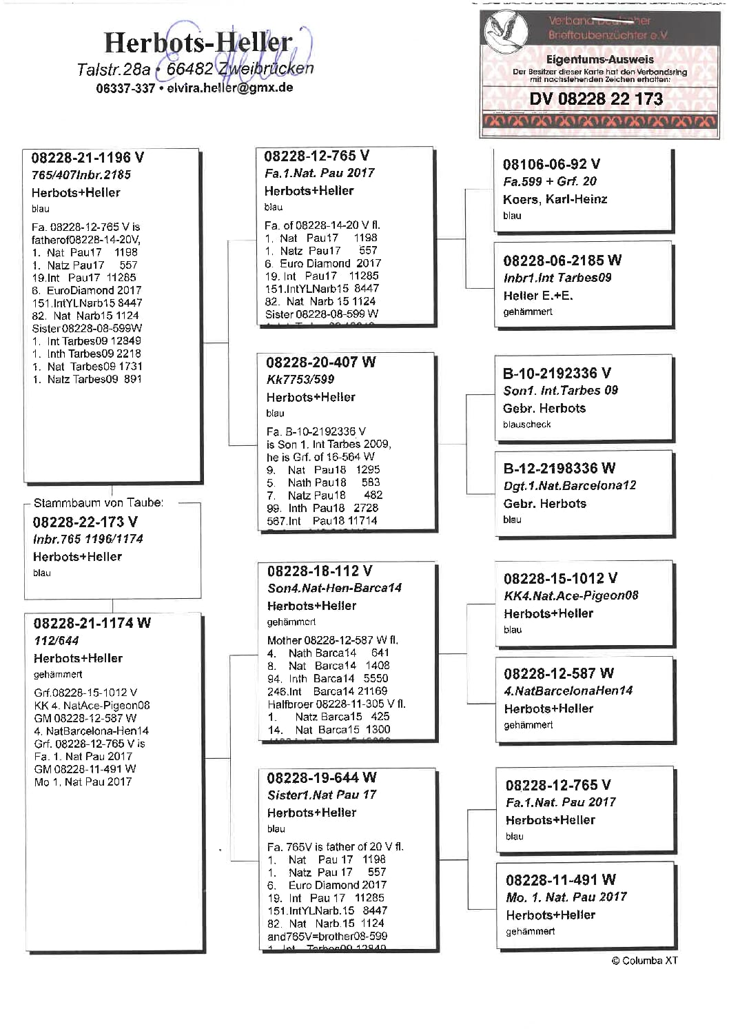 ヘラー DV08228-22-173 - 画像 (2)