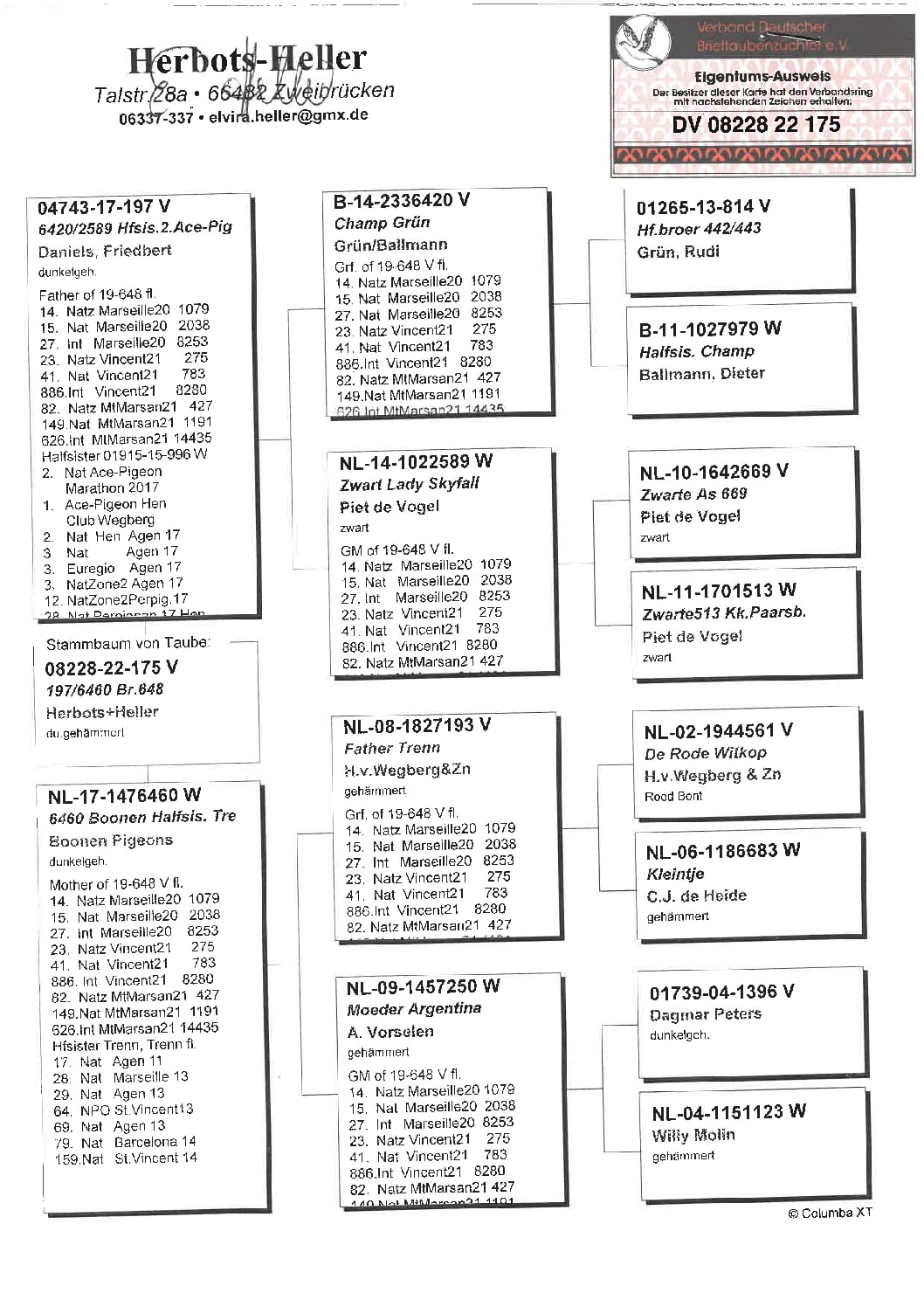ヘラー DV08228-22-175 売切れ - 画像 (2)