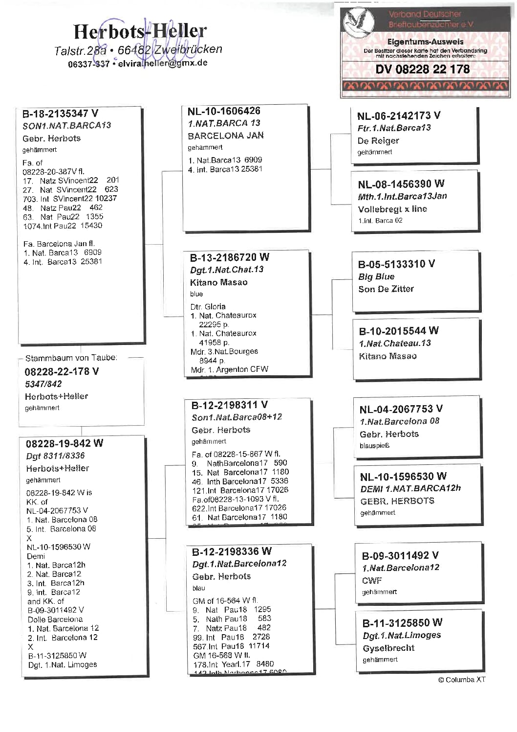ヘラー DV08228-22-178 売切れ - 画像 (2)
