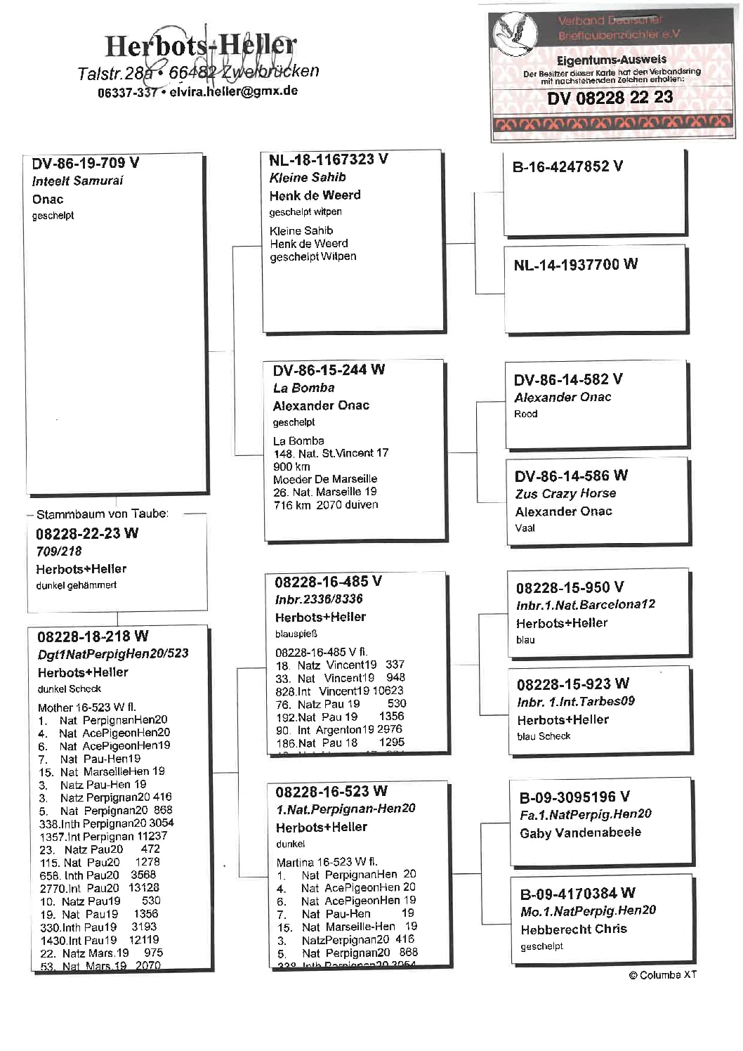 ヘラー DV08228-22-23 - 画像 (2)