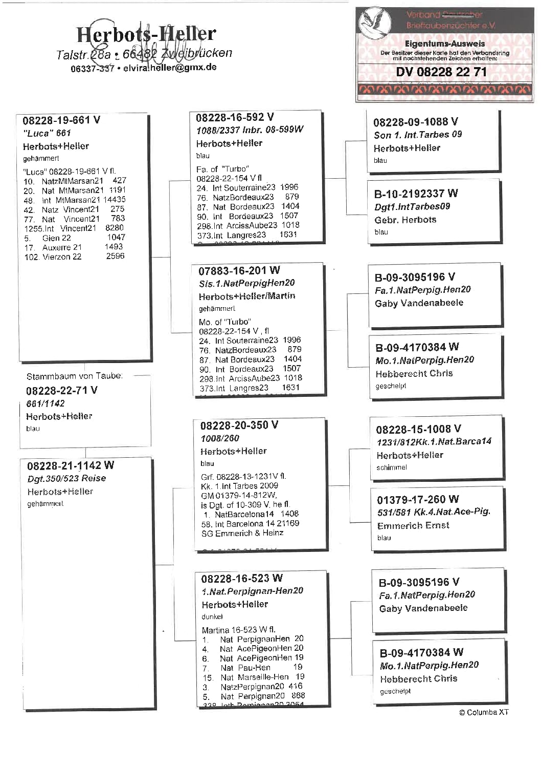 ヘラー DV08228-22-71 売切れ - 画像 (2)