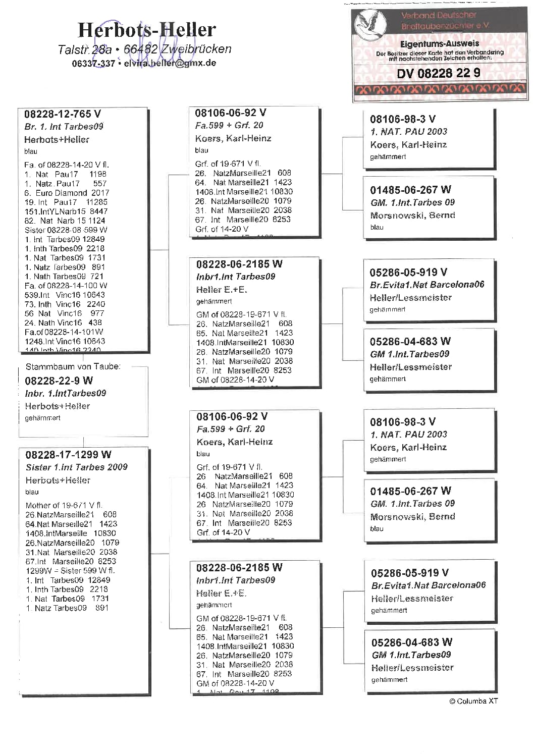 ヘラー DV08228-22-9 - 画像 (2)