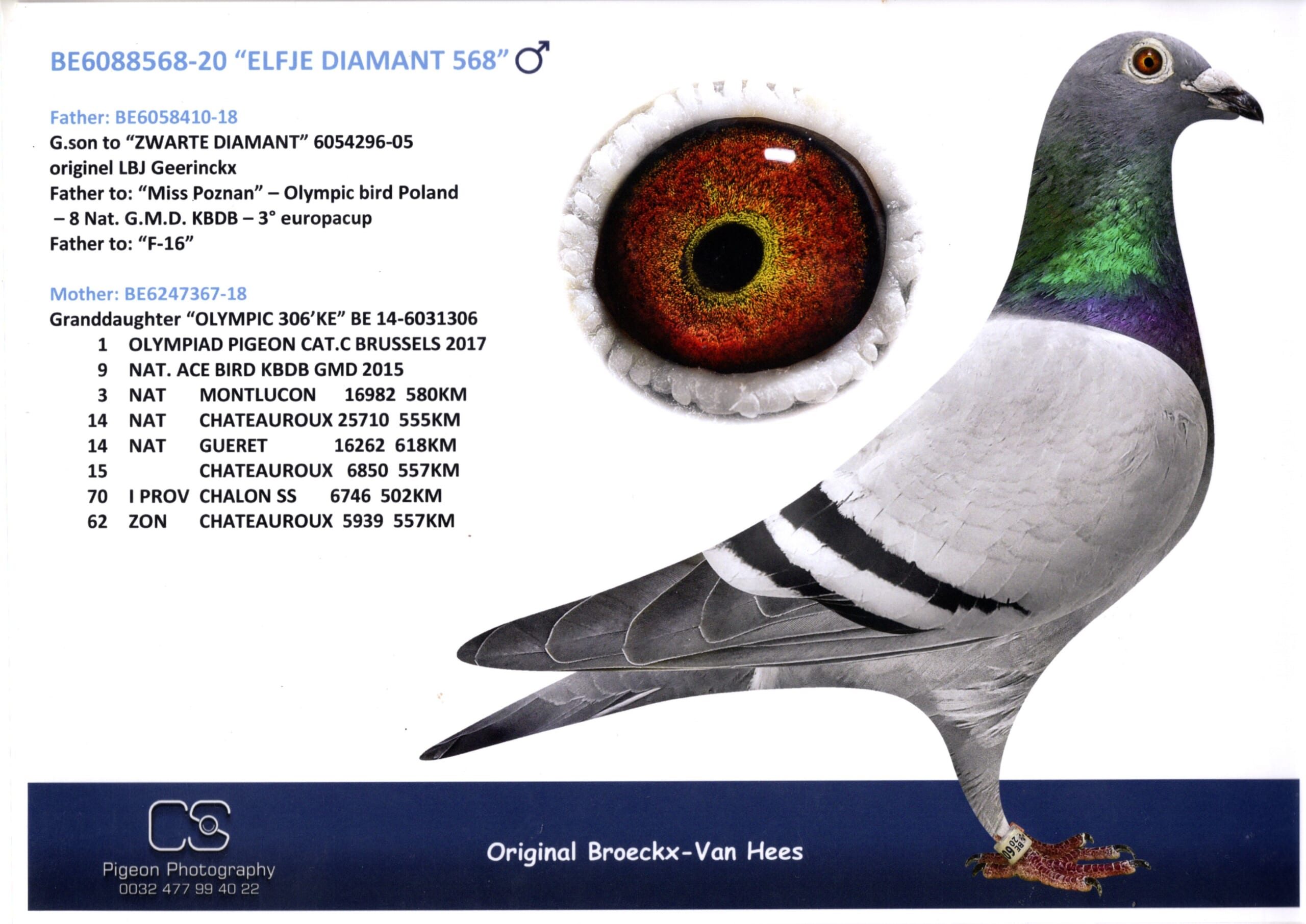 Broeckx Leo BE 6088568-20