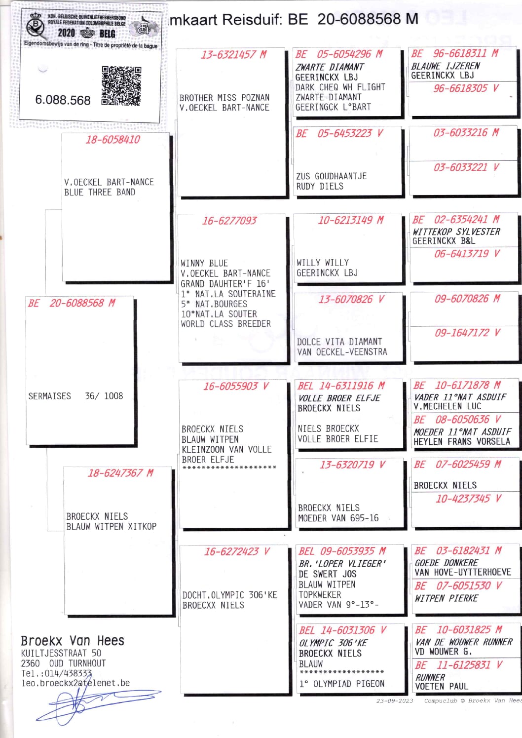 Broeckx Leo BE 6088568-20 - 画像 (2)