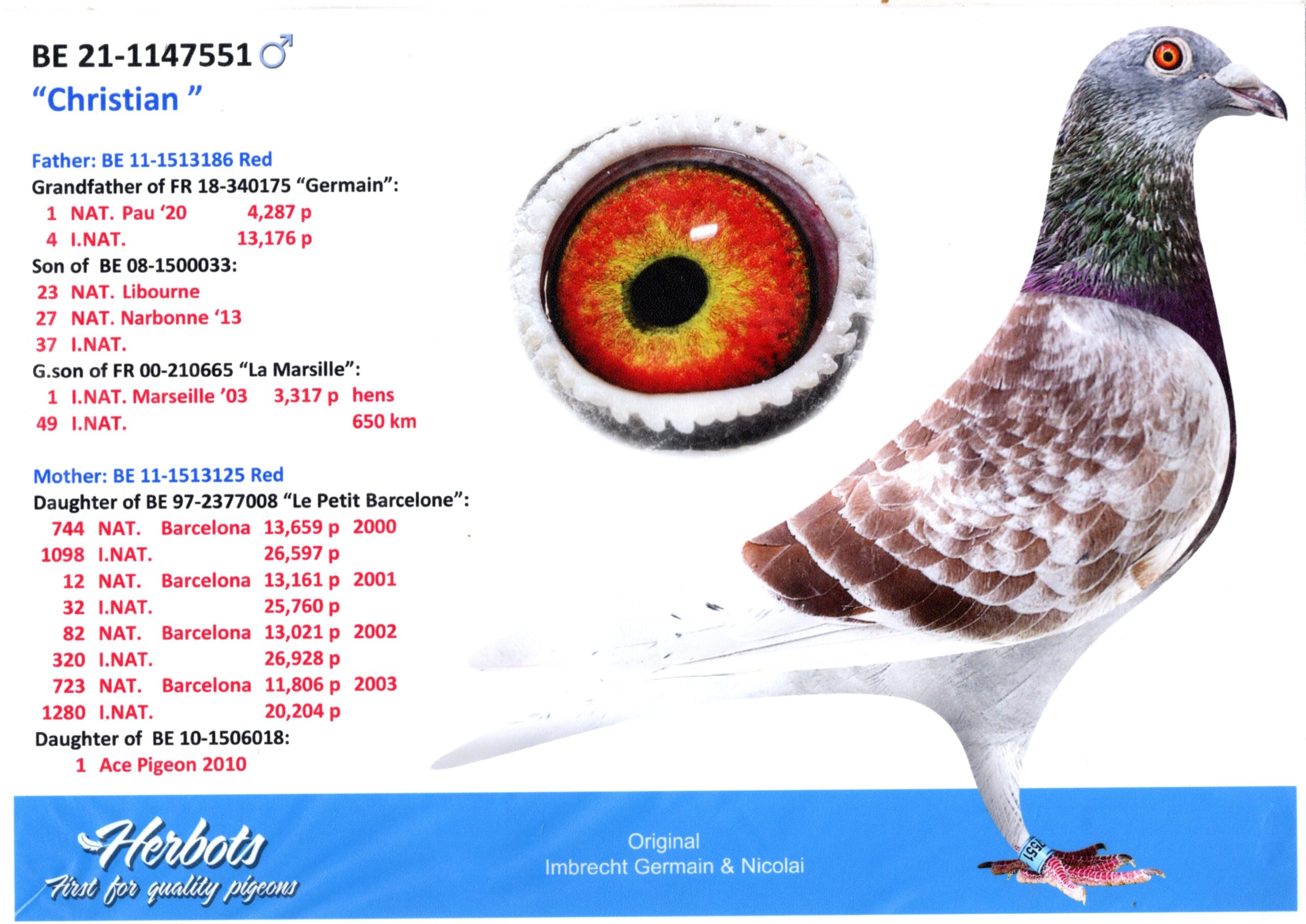 インブラヒット BE21-1147551