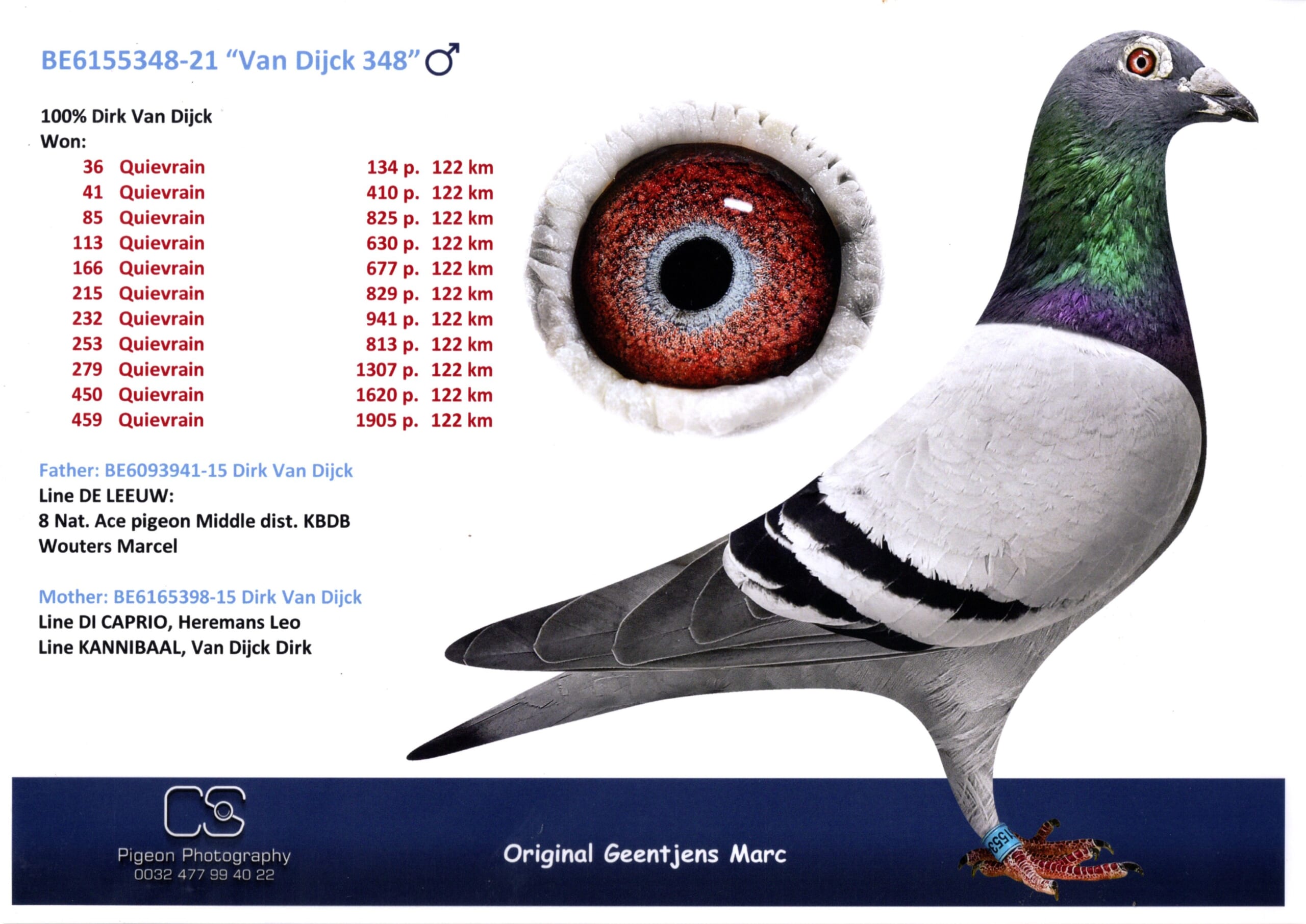 ジェンチェンス BE 6155348-21 売切れ