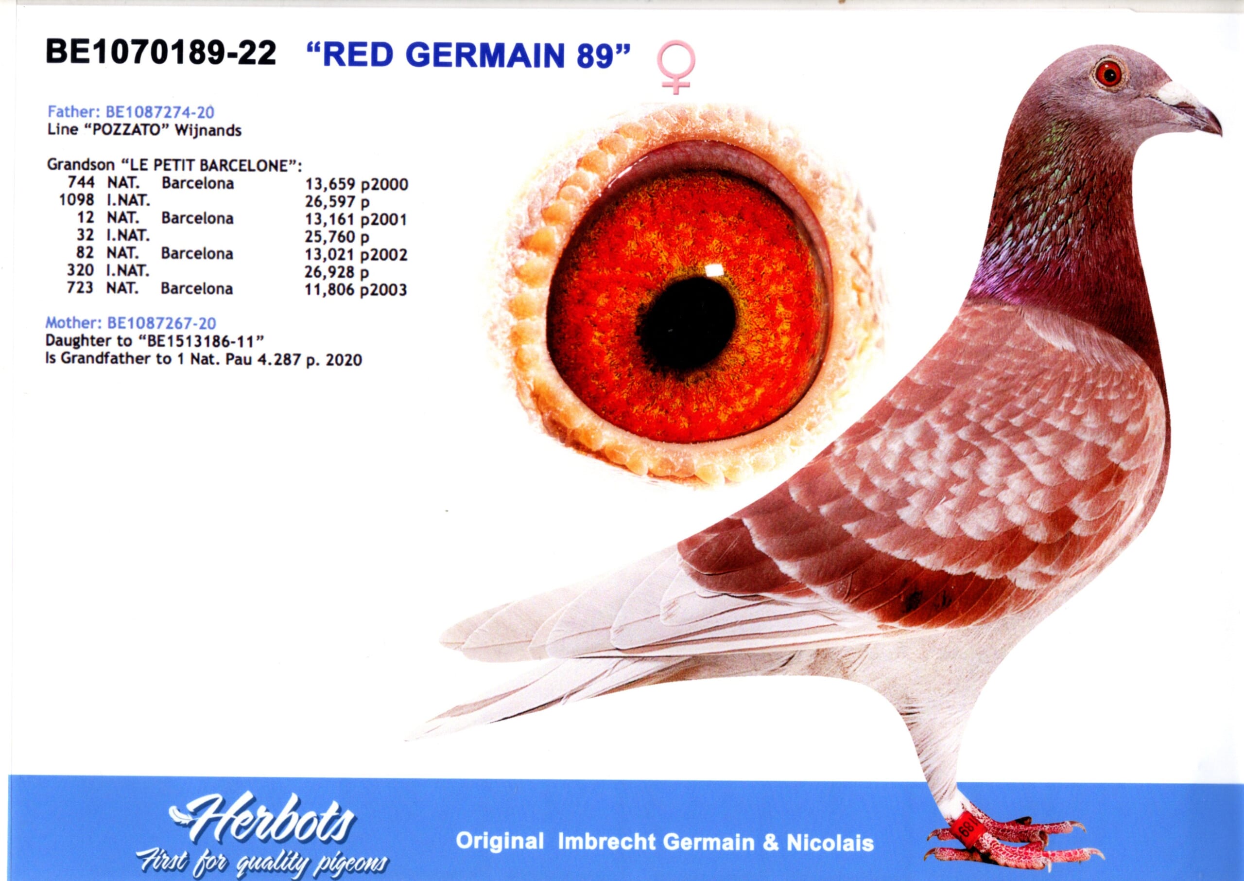 インブラヒット BE22-1070189 売切れ